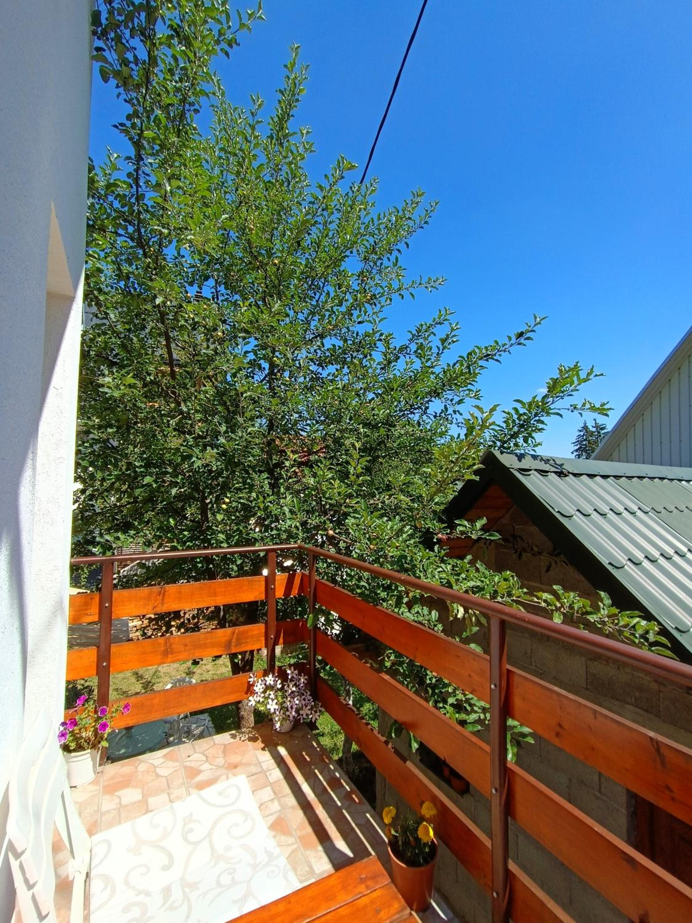 Photo 45