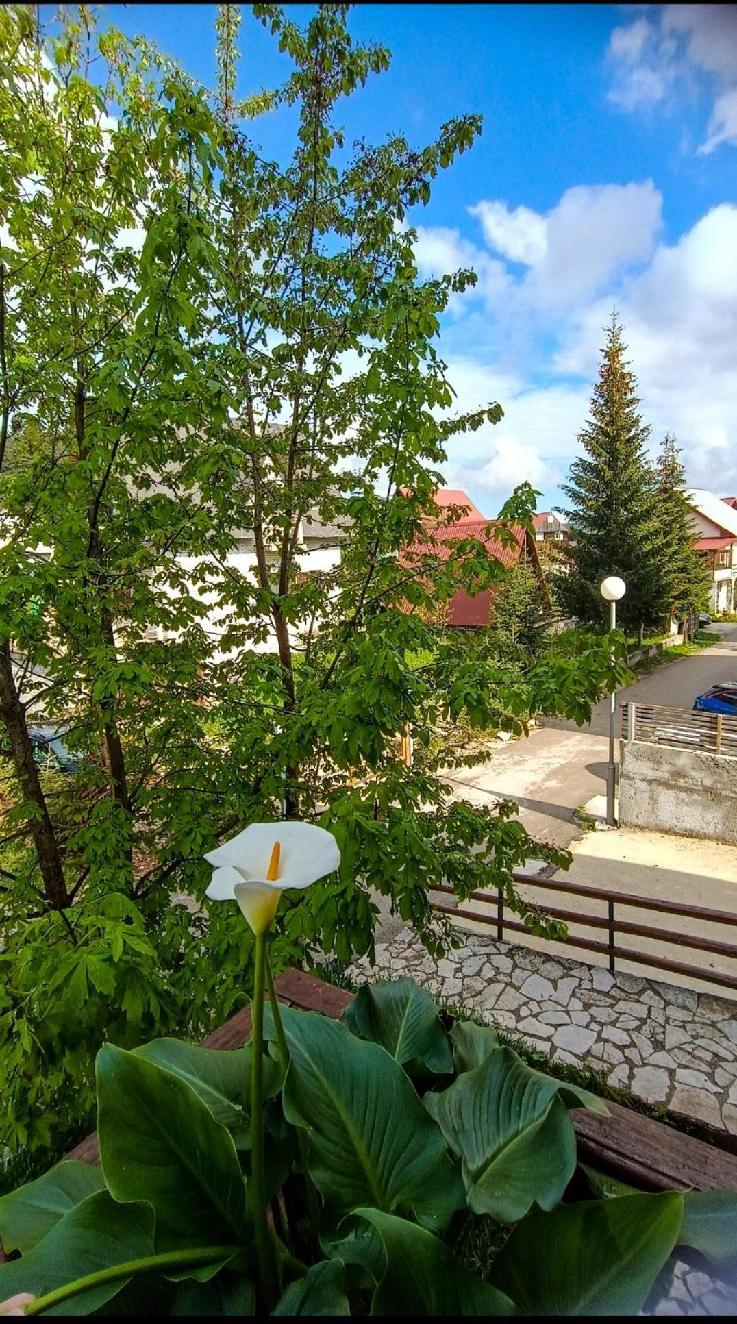Photo 28