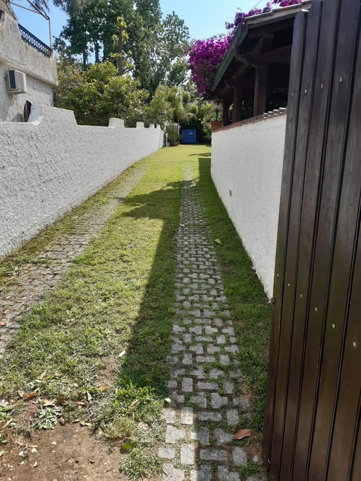 Photo 48