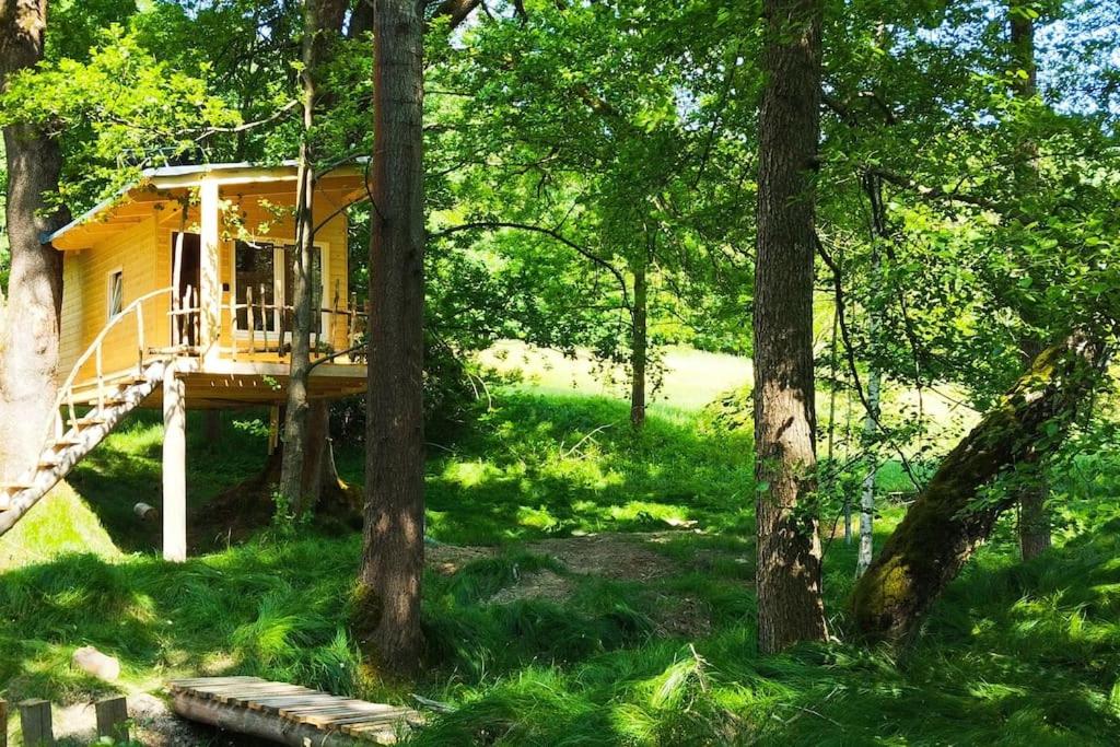 Treehouse LEA