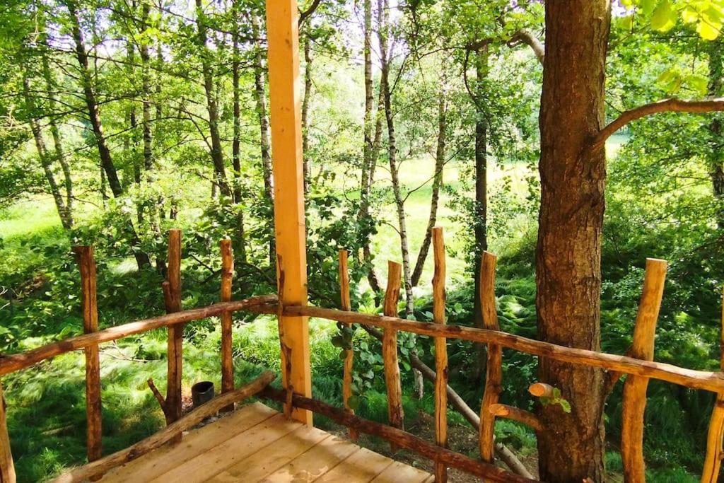 Treehouse LEA