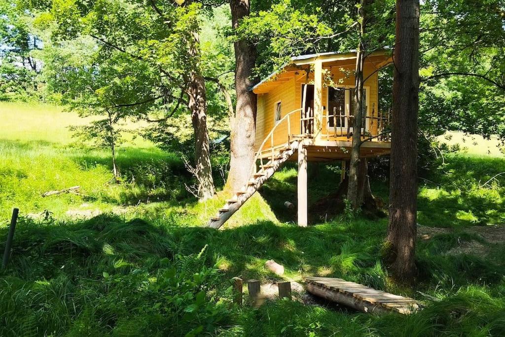 Treehouse LEA