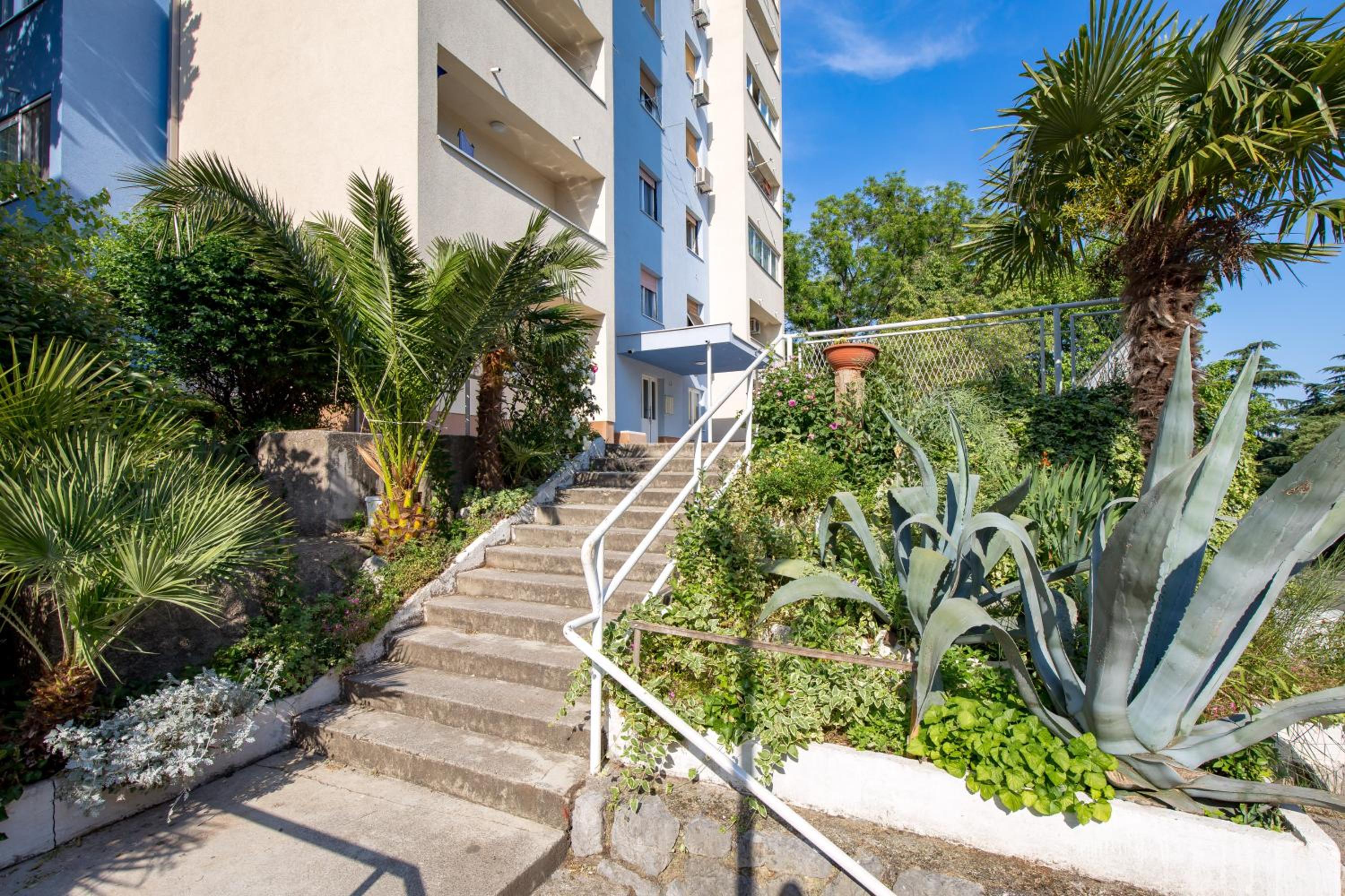 Apartment Bella Vista