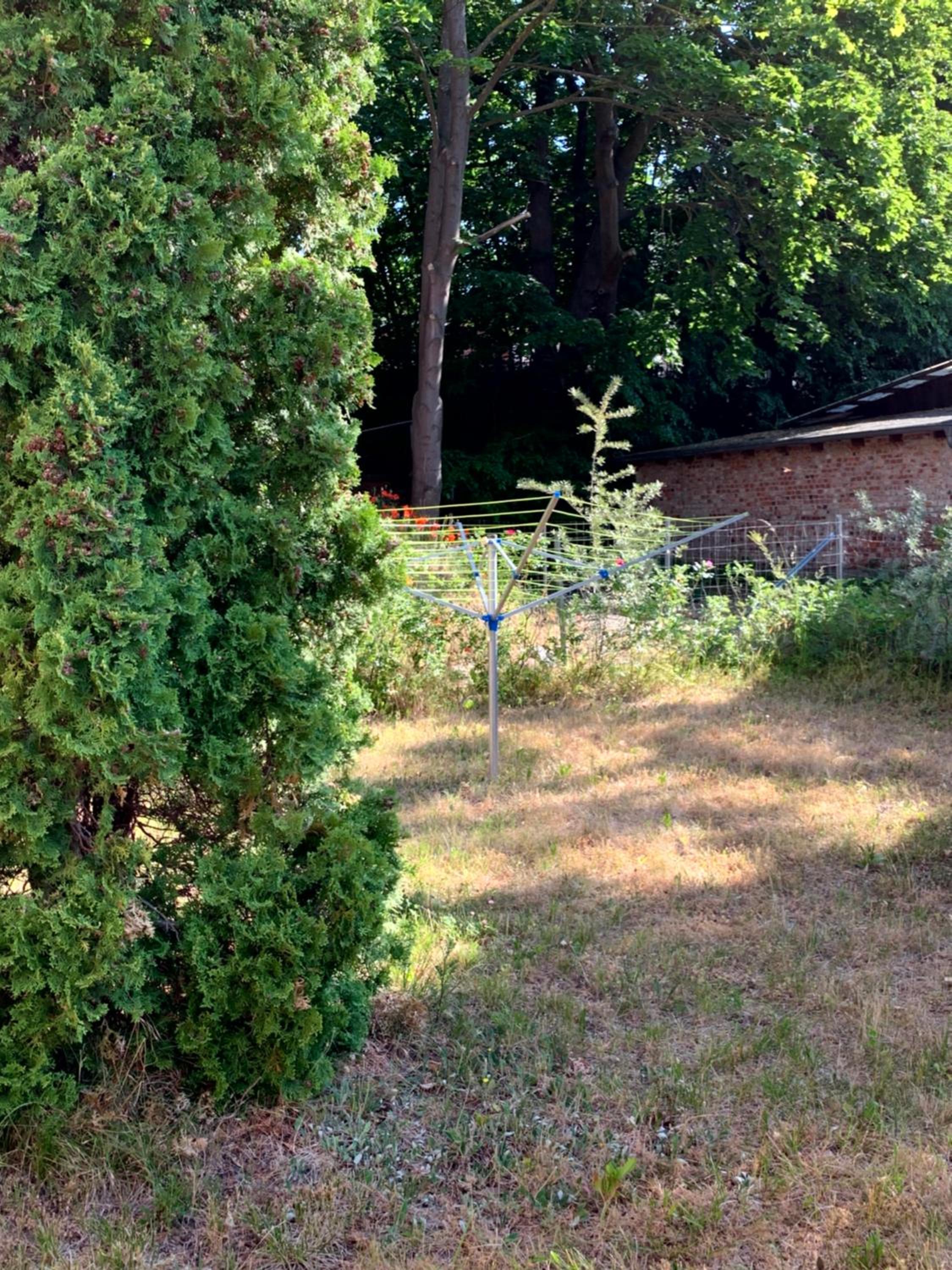 Photo 26