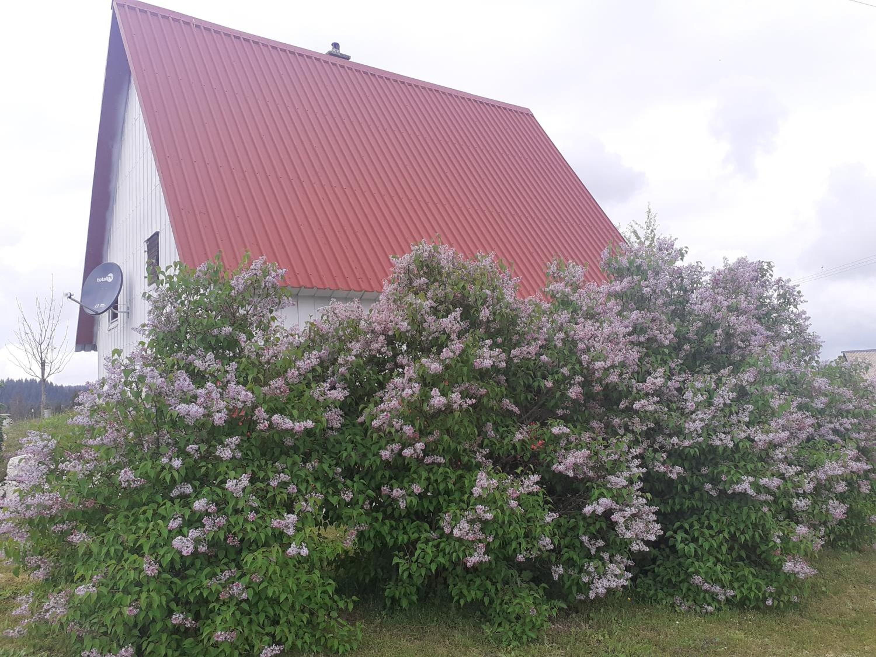 Photo 31