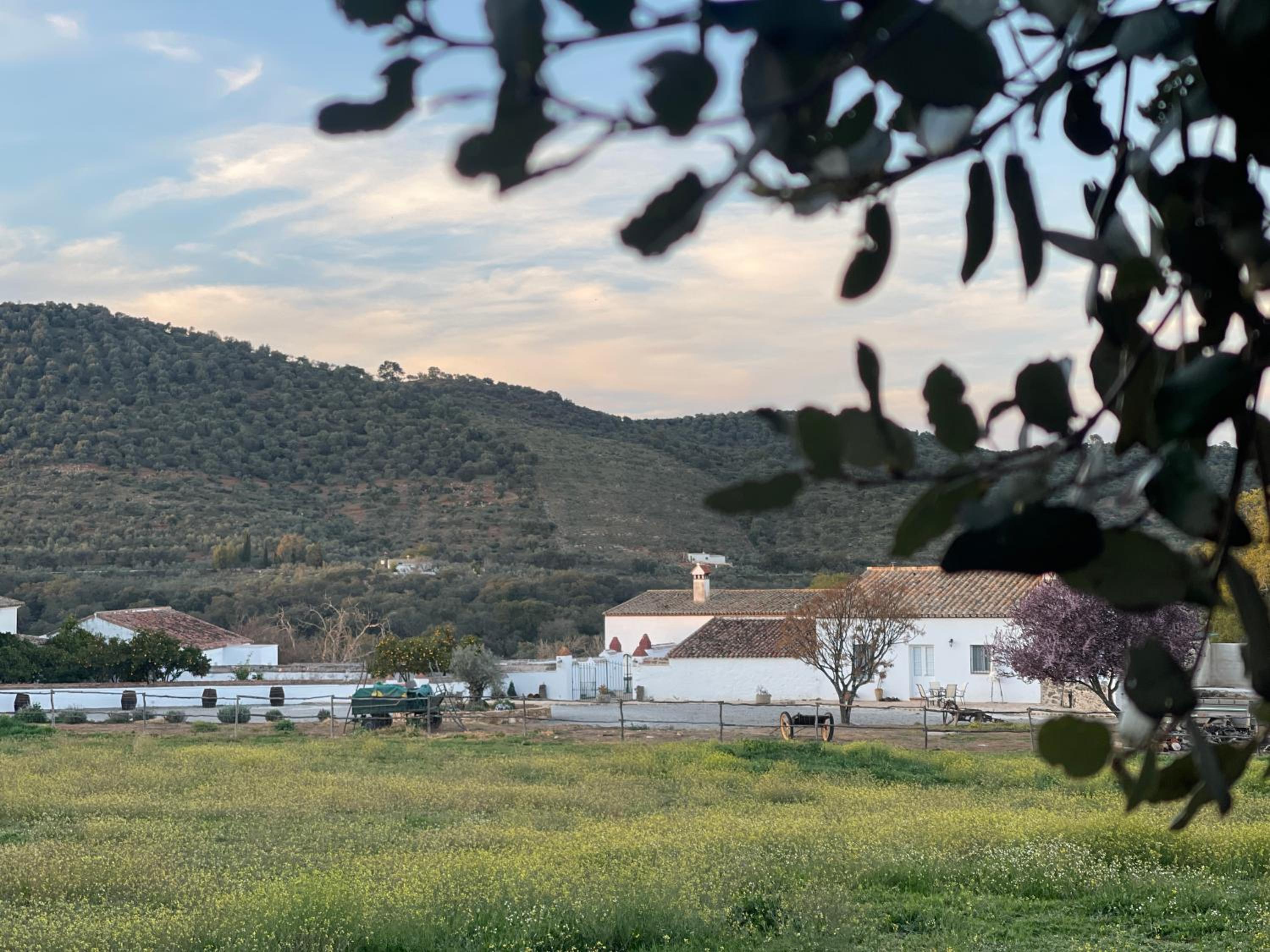 Cortijo Huerta Galindo