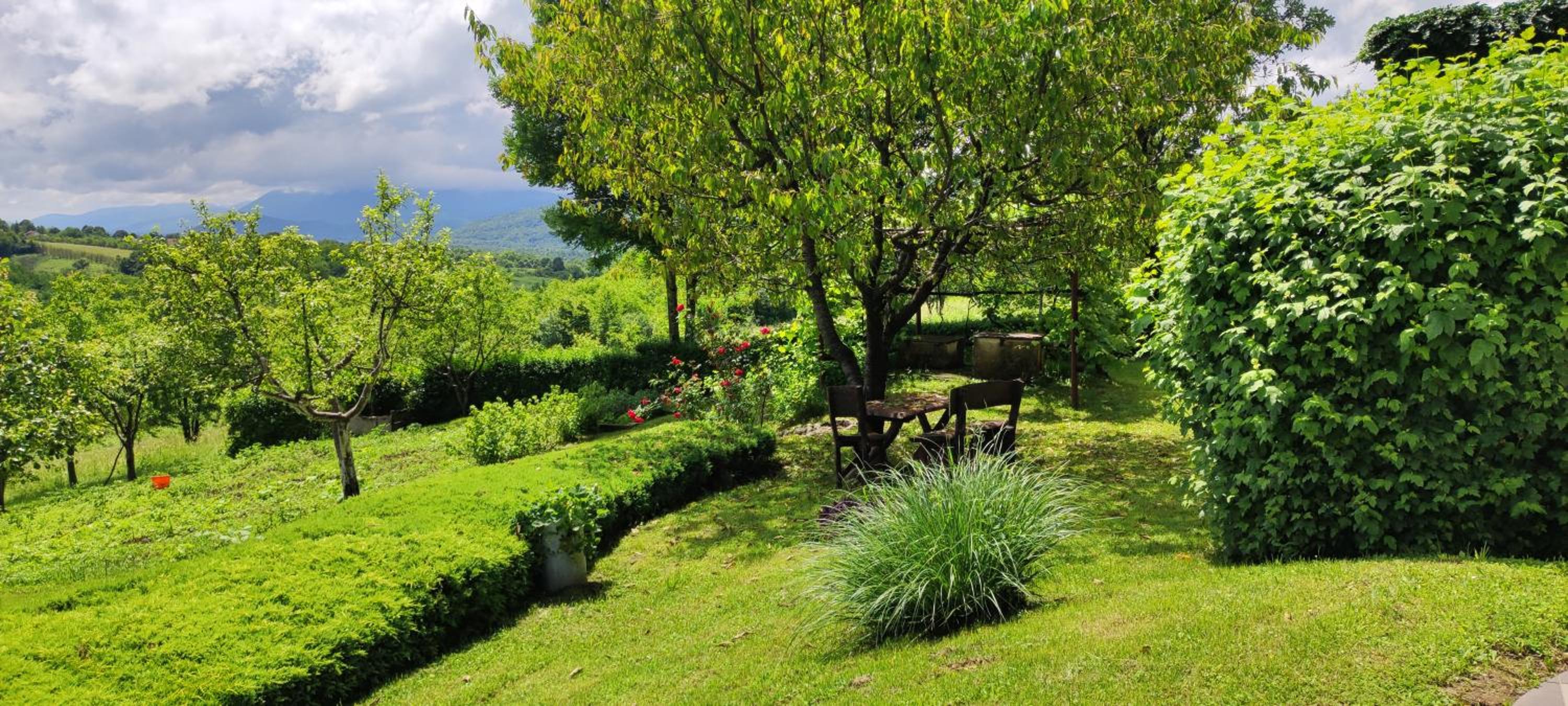 Guest House Kolić