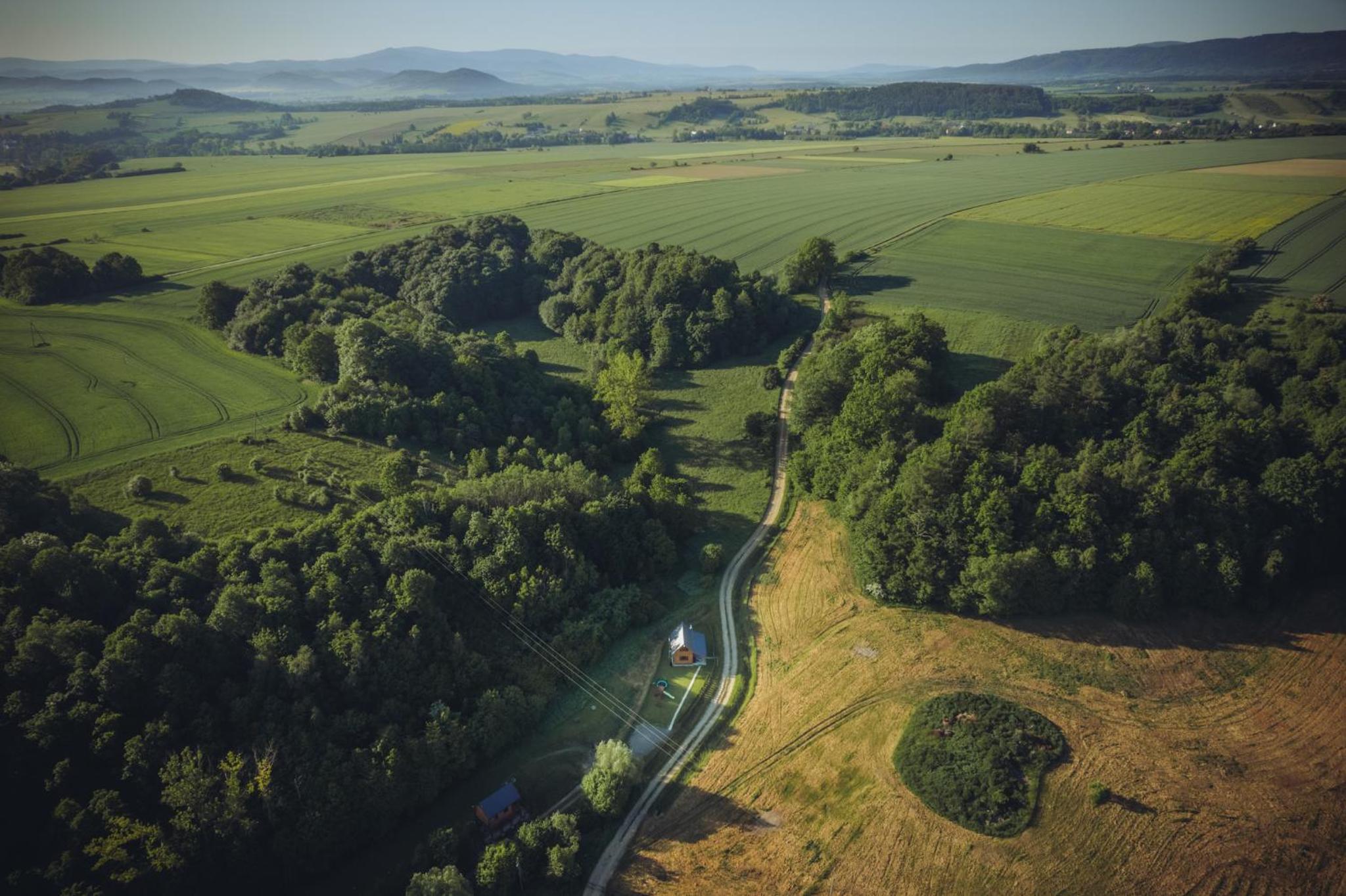 Szalejówka Domki view 3