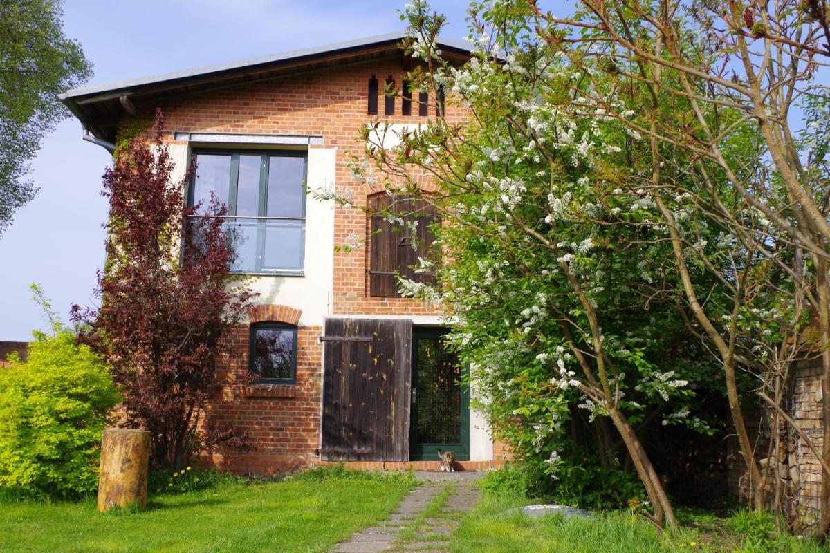 Haus am See in Kleinzerlang