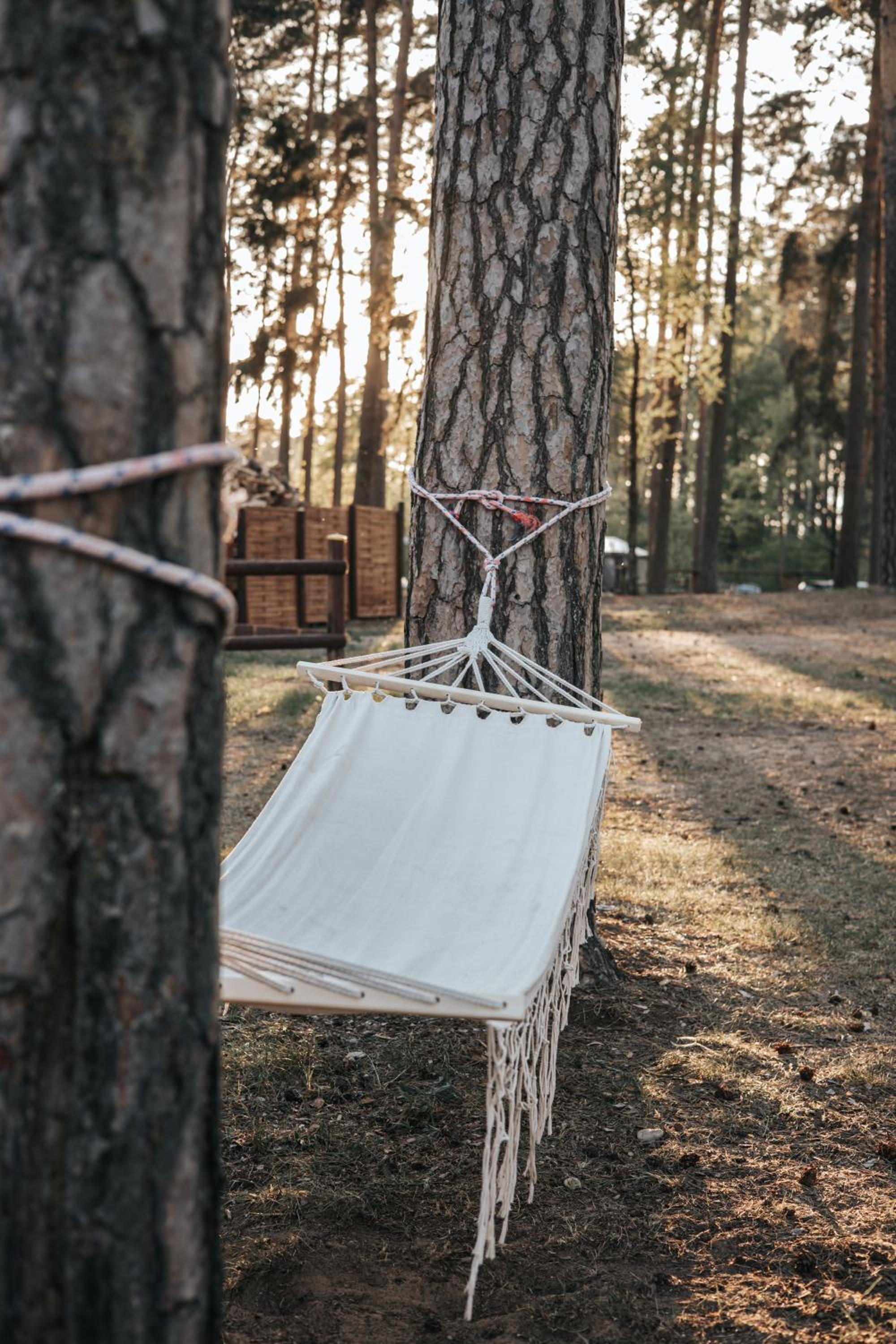 Forest House Augustów, photo 62