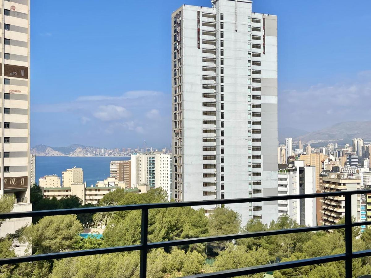 ANTENA CITY APARTMENT view 5
