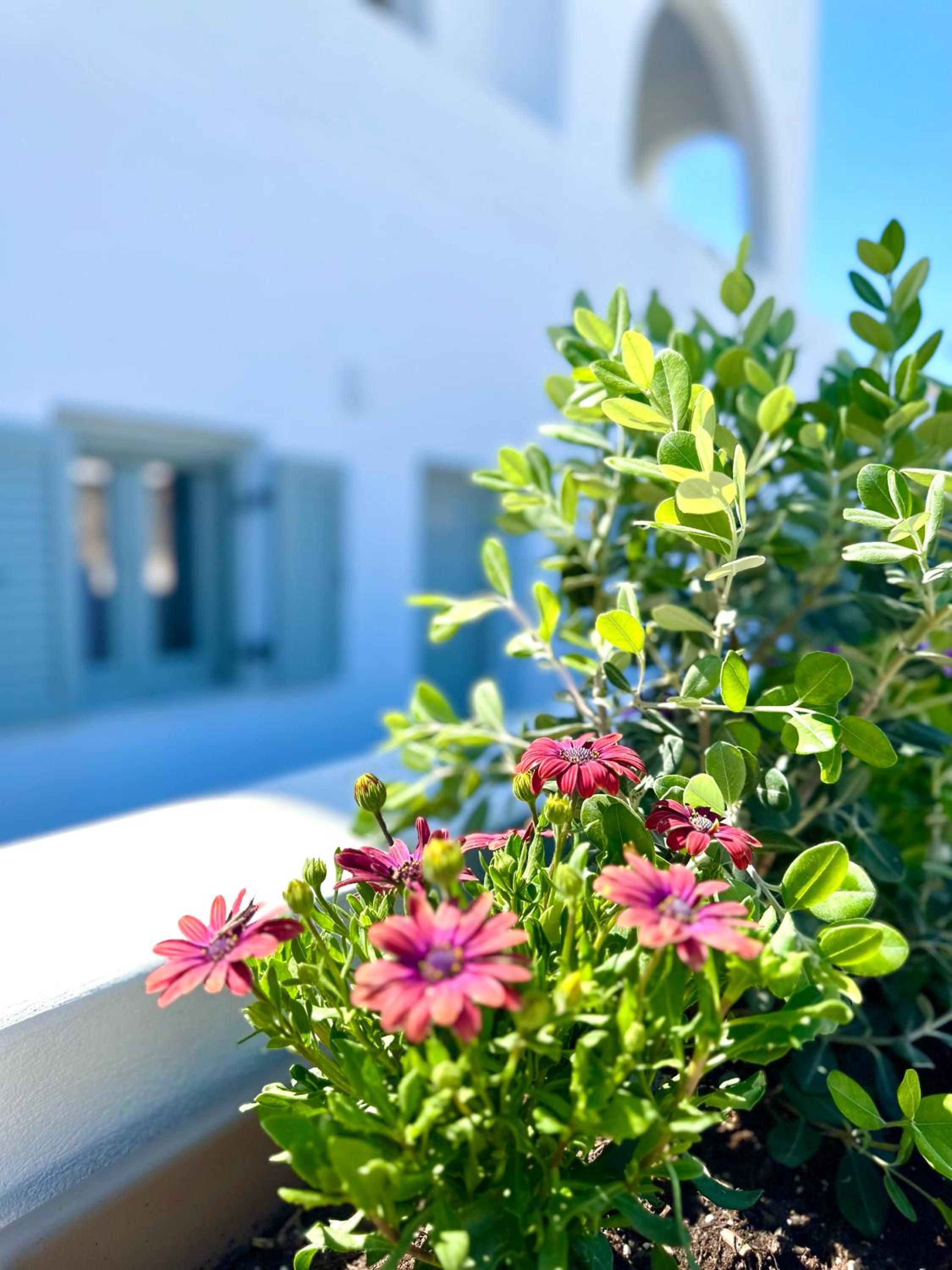 Santana Apartments