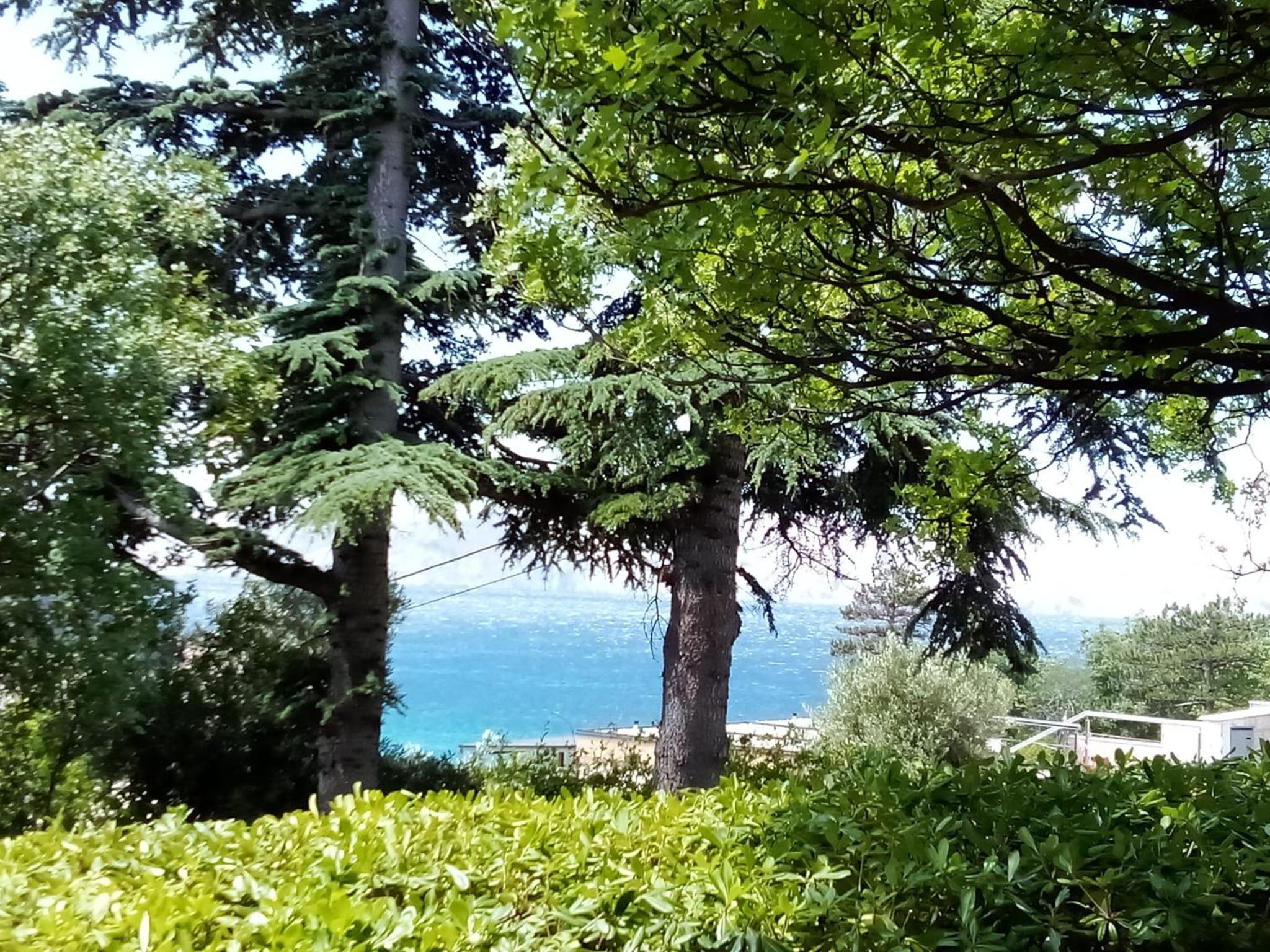 Photo 43