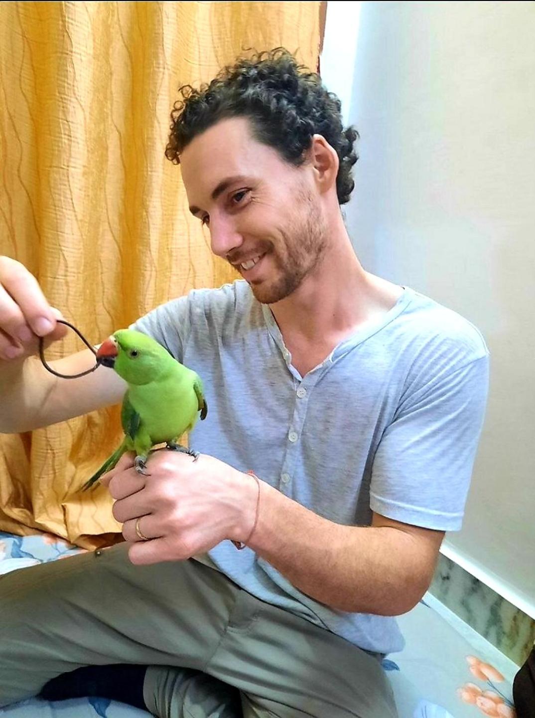 human