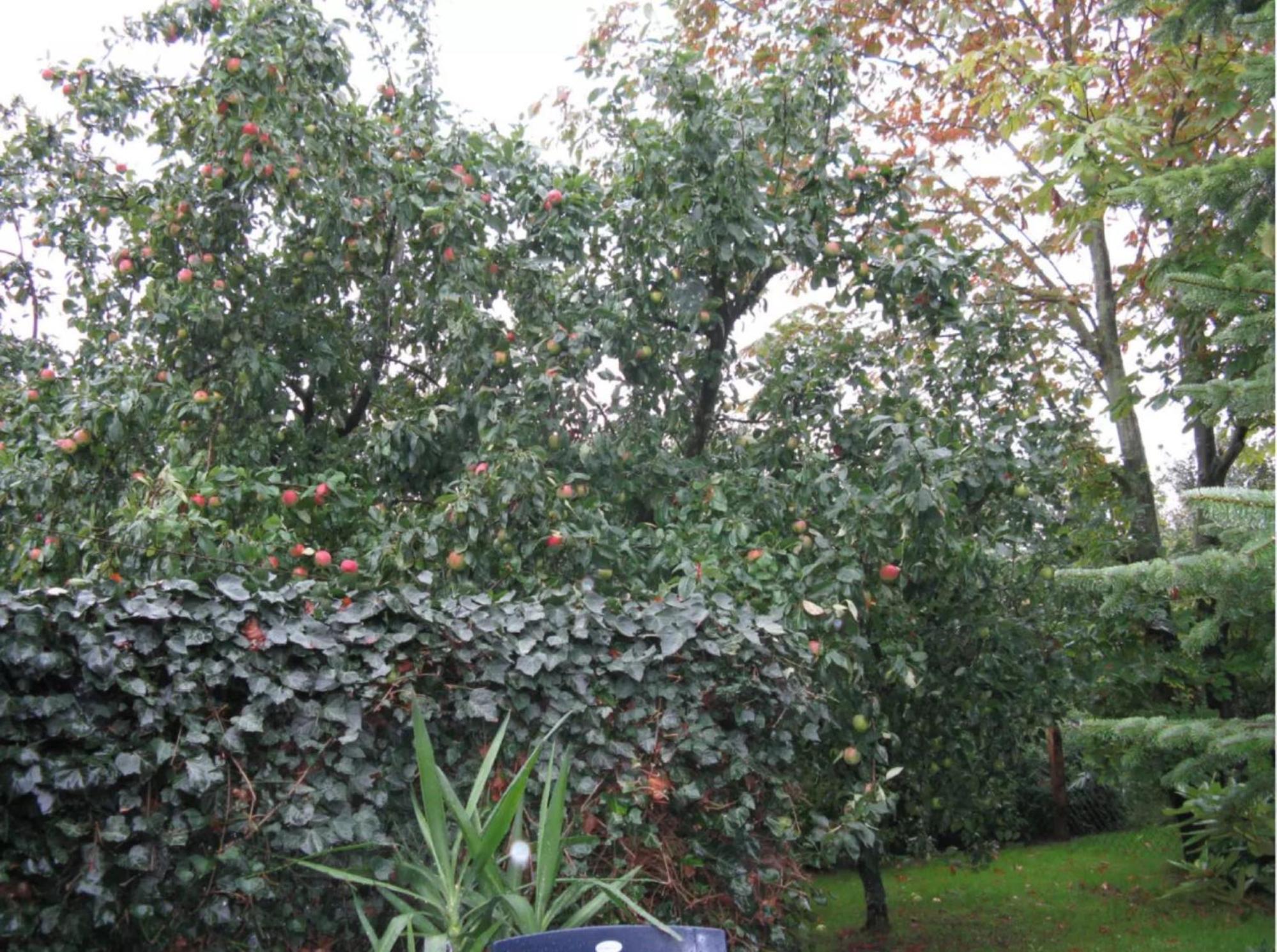 Ferienhaus Ockholm
