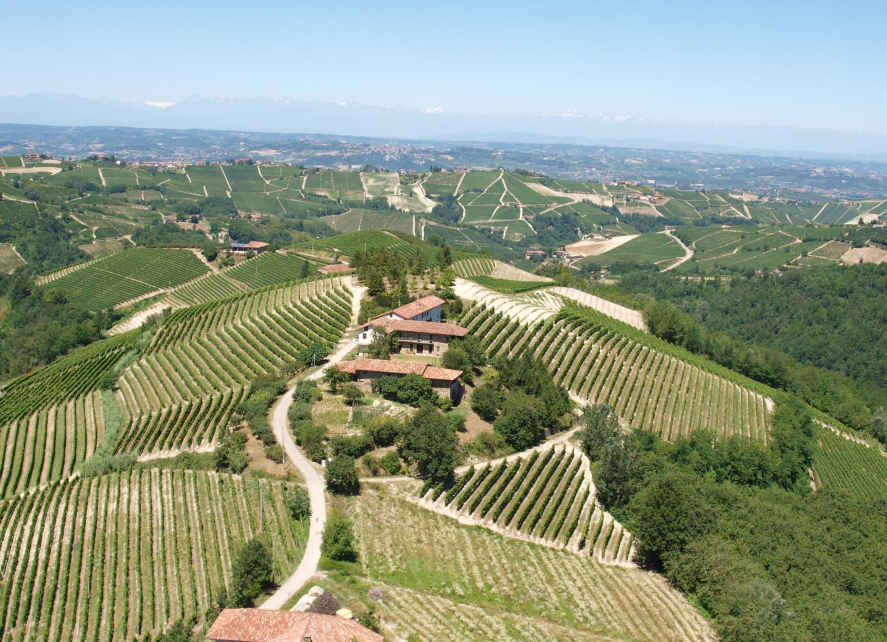Private Estate Among the Vineyards of Alba - Italy view 2