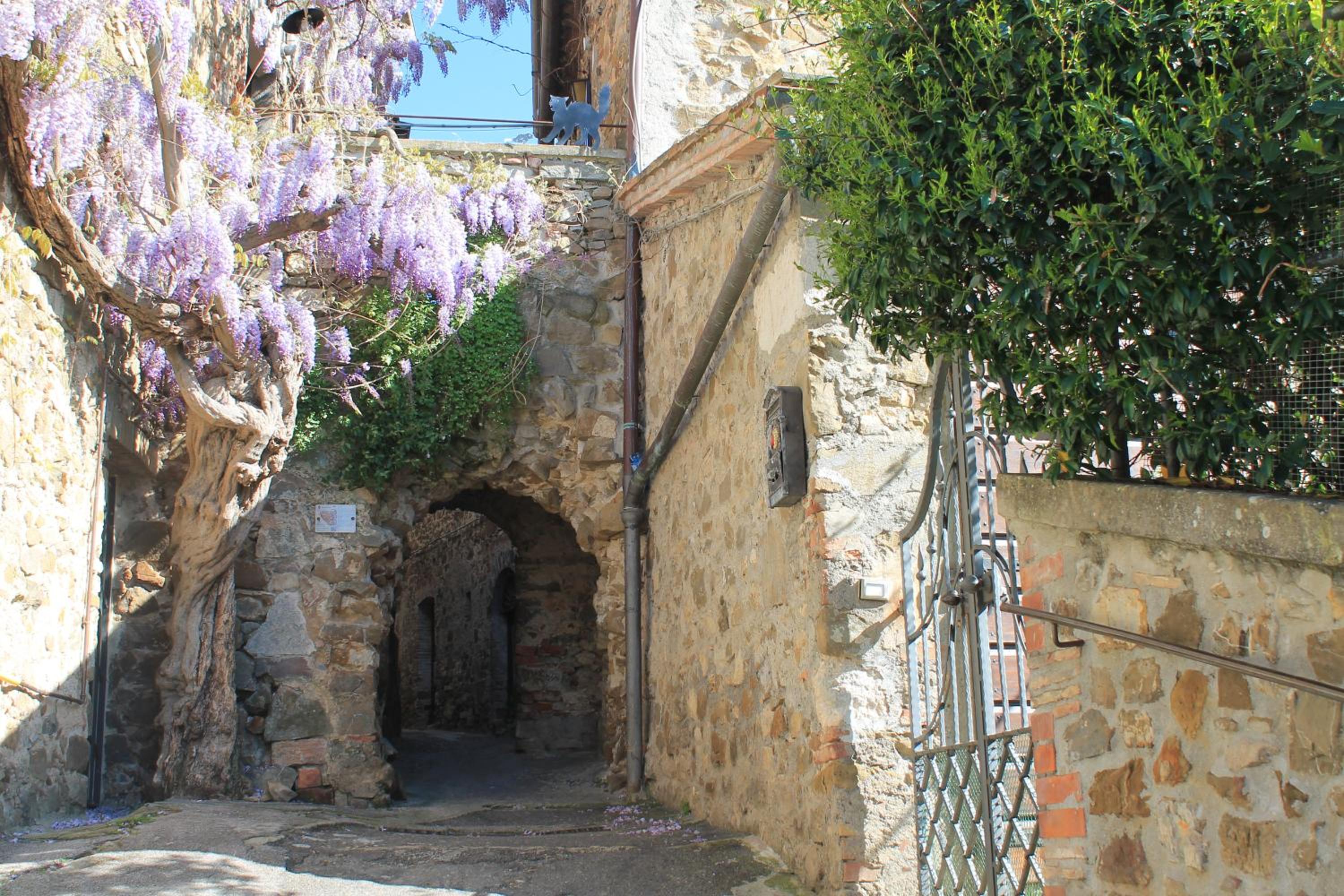 Casa Monteme view 5