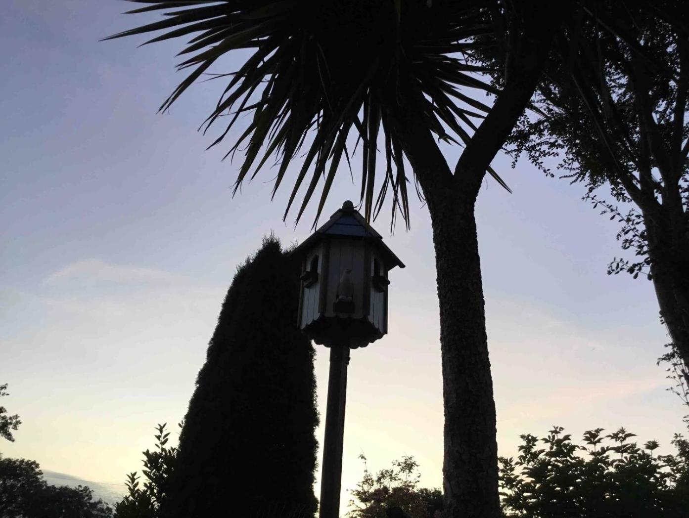 Photo 46