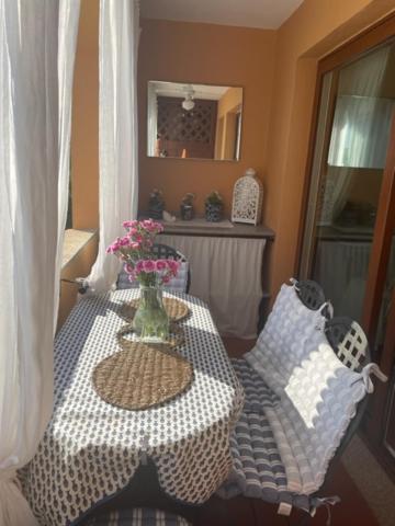 Conchiglia Porto Cervo Marina