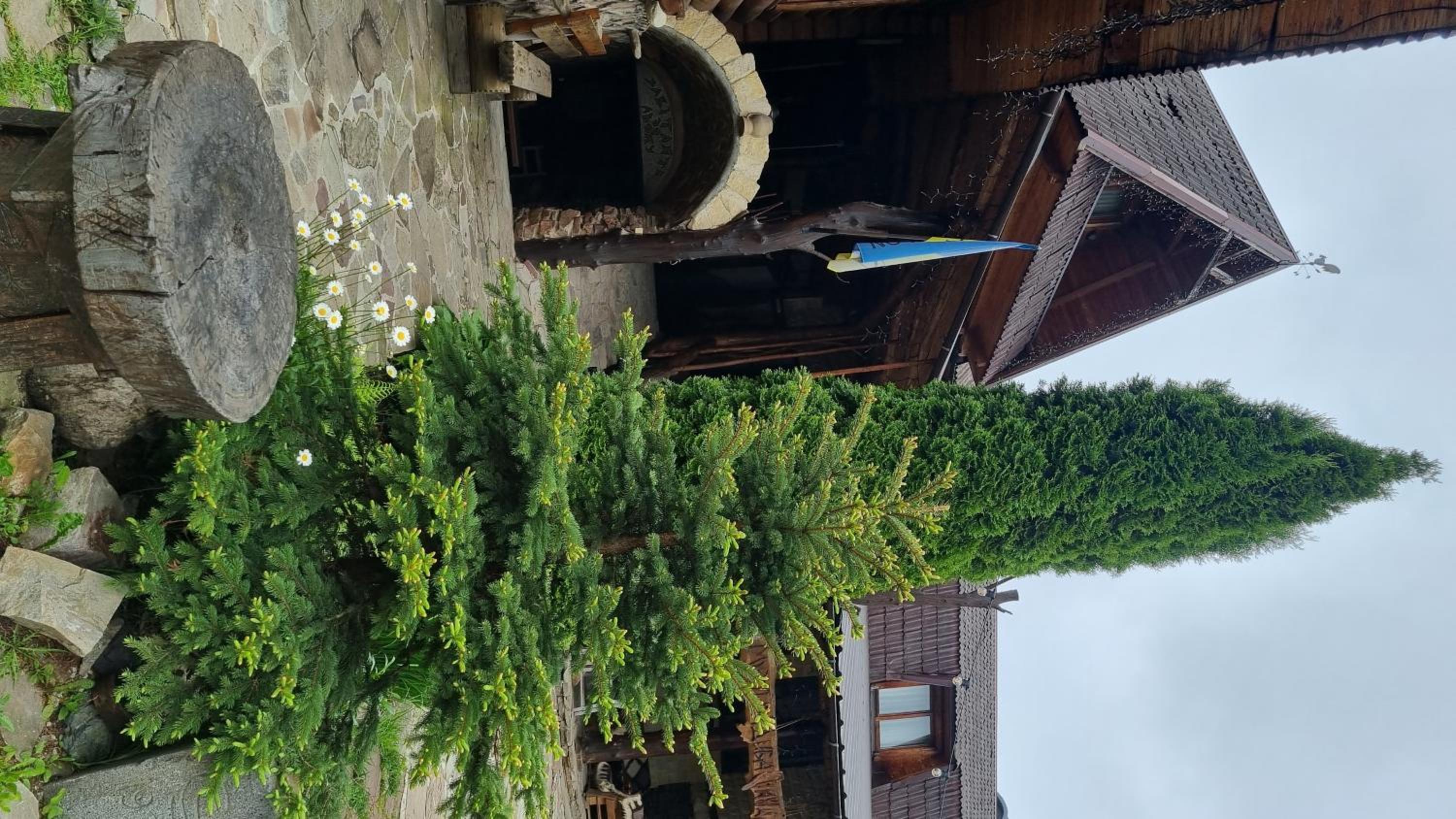 Muzey-sadyba Grazhda