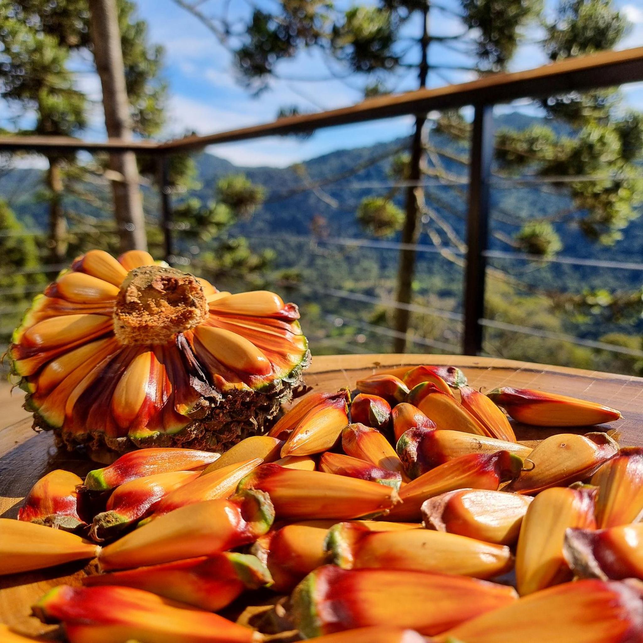 Cabana Amores da Serra Urubici
