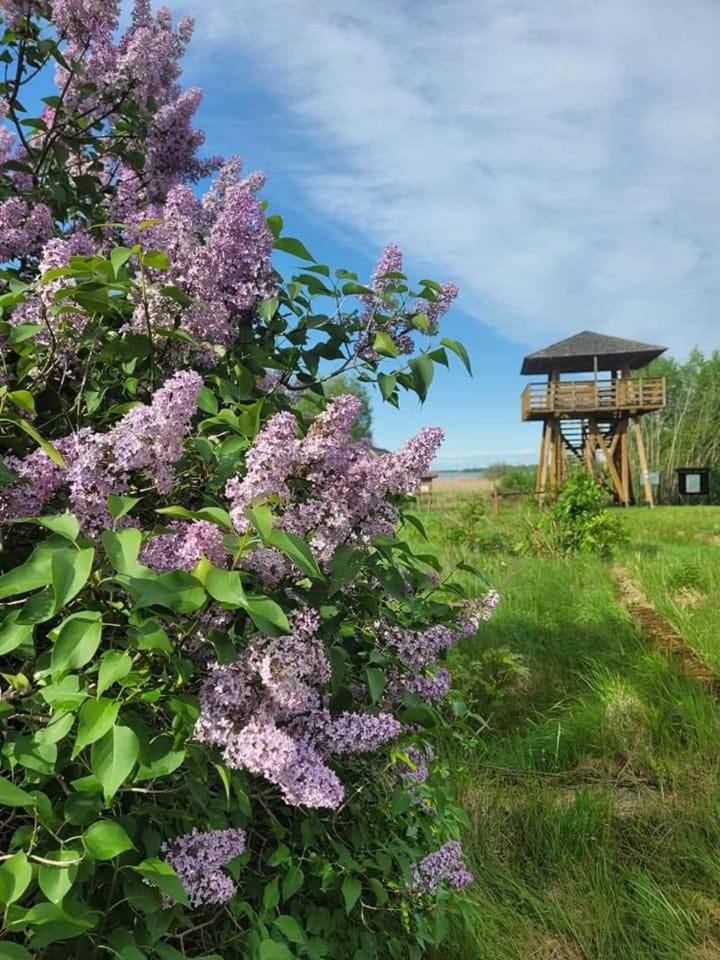 Agroturystyka Ruta nad zalewem Siemianówka view 5