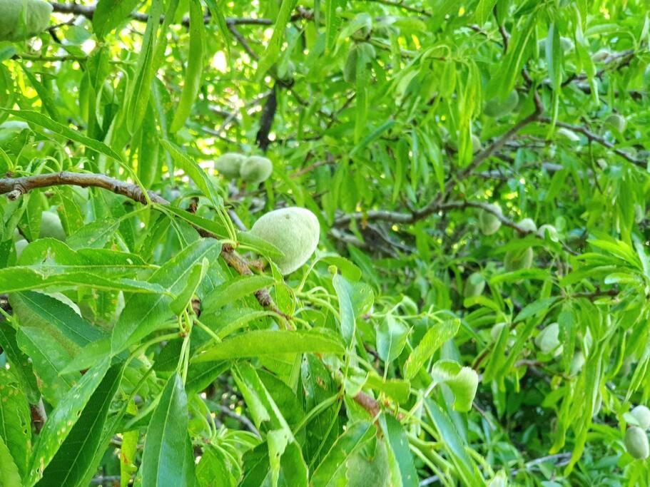 Photo 20