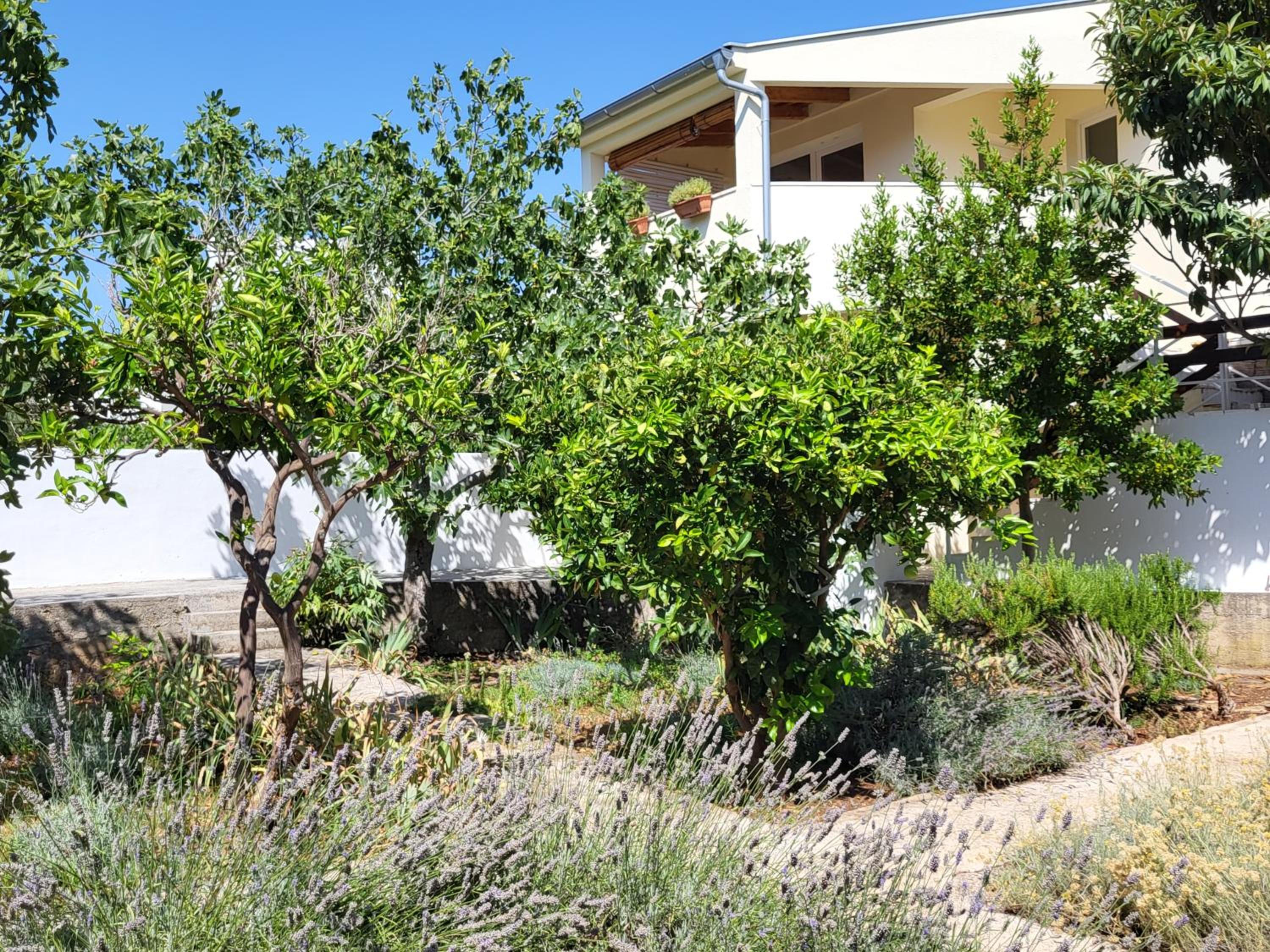 Lavender Garden House