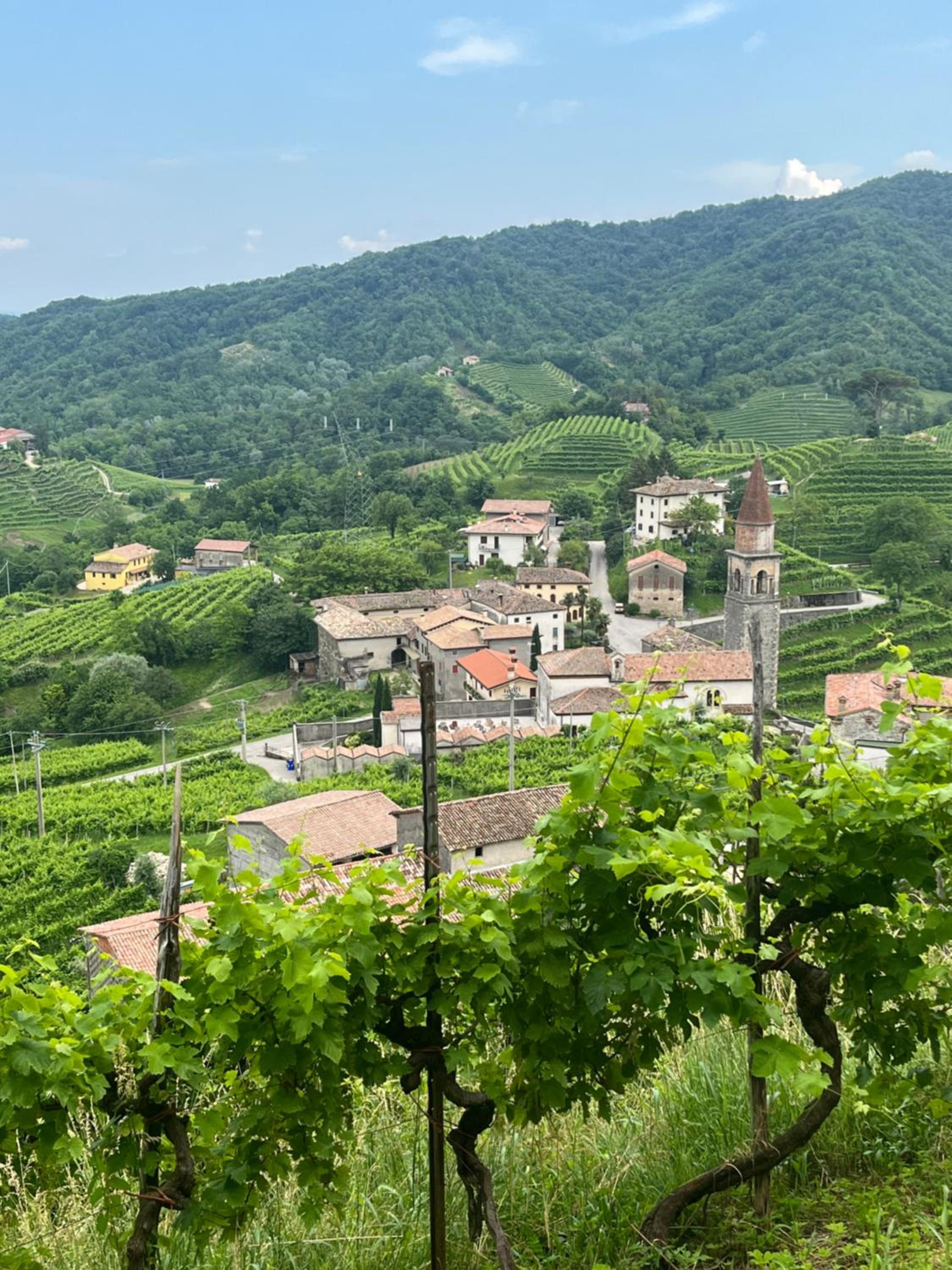ALTRAVISTA TARZO