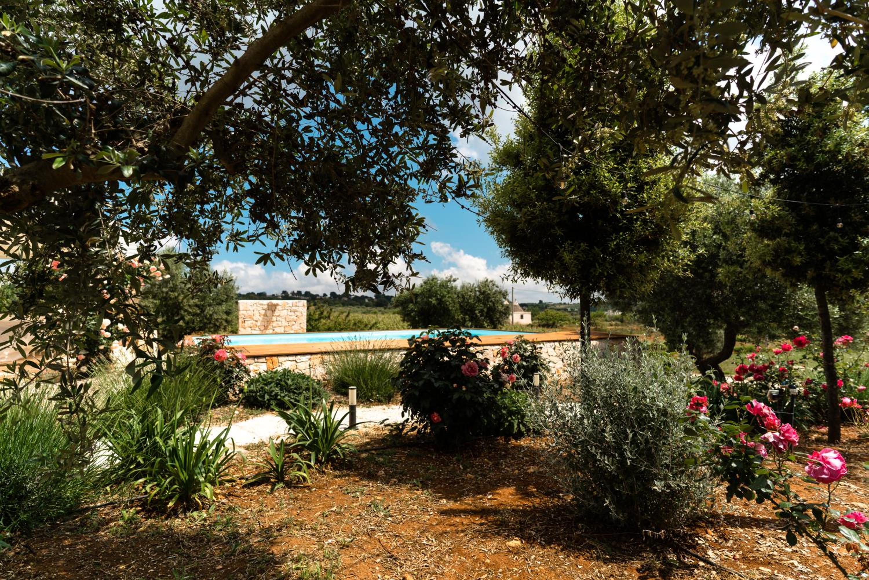 Trulli Audendum