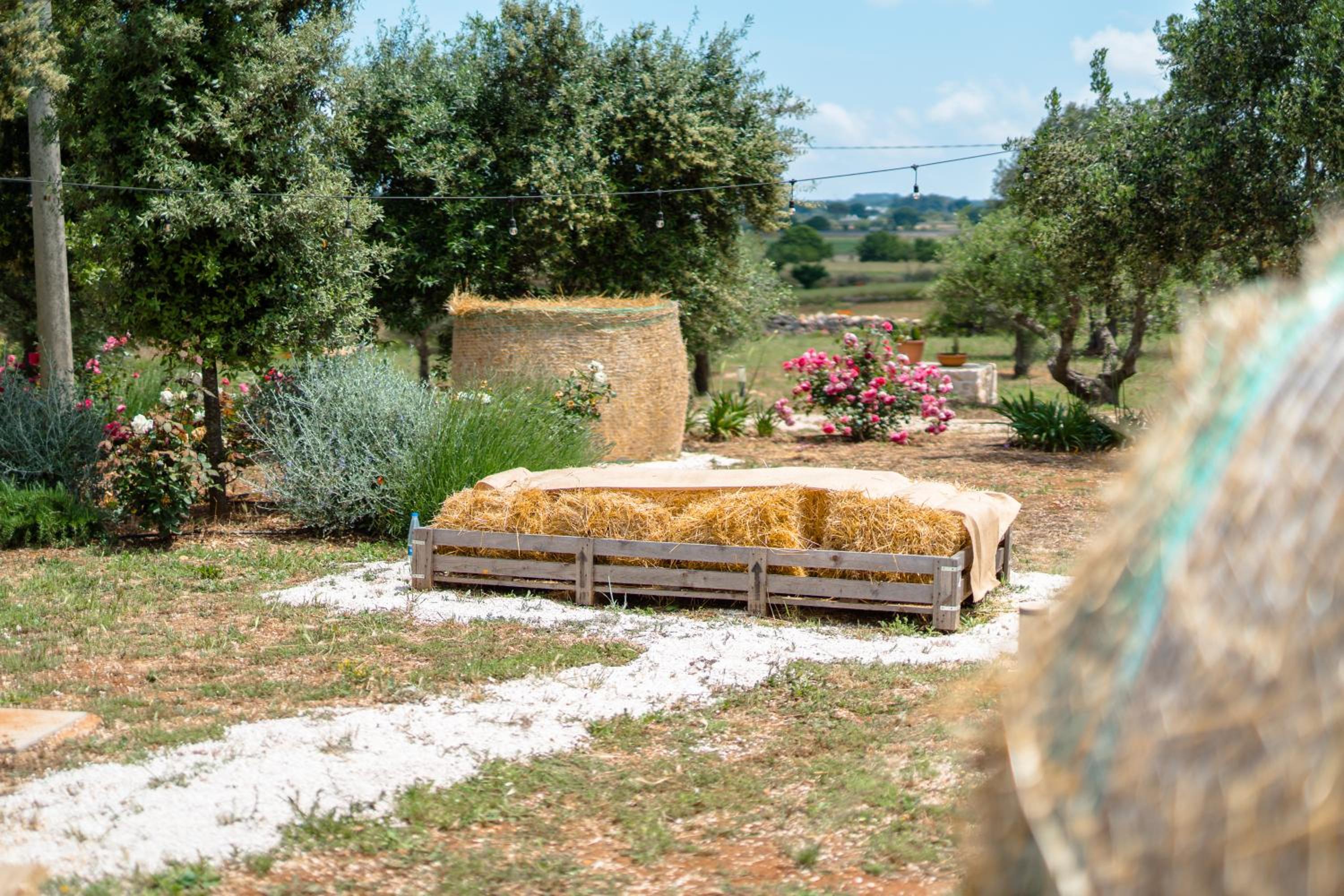 Trulli Audendum