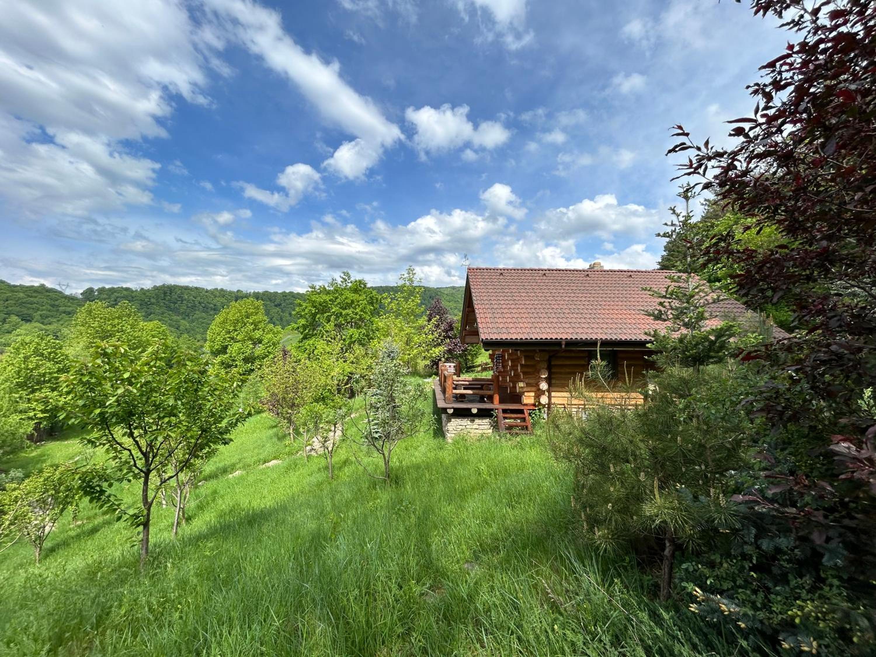 Căsuța din pădure view 5