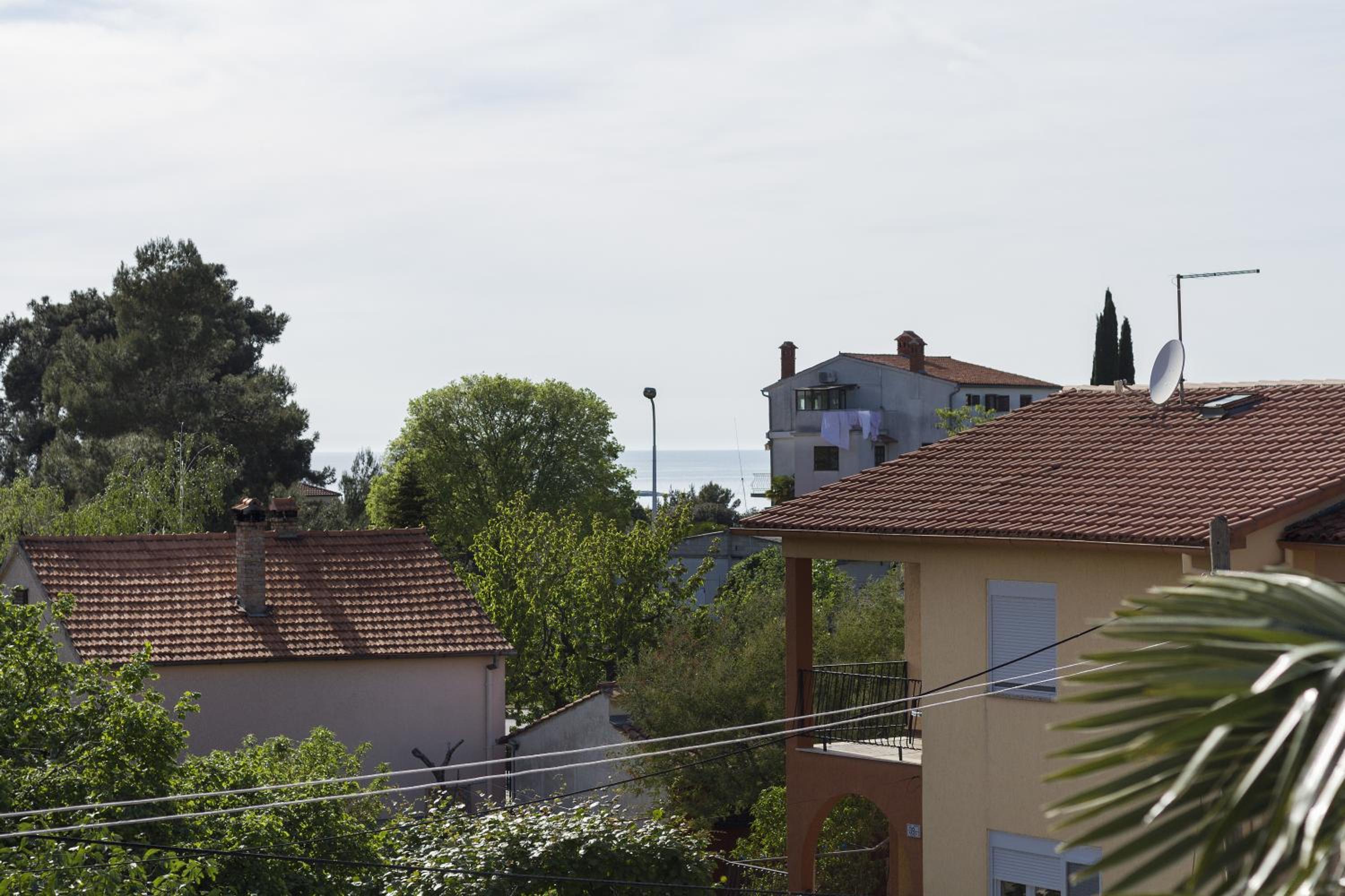 Photo 35