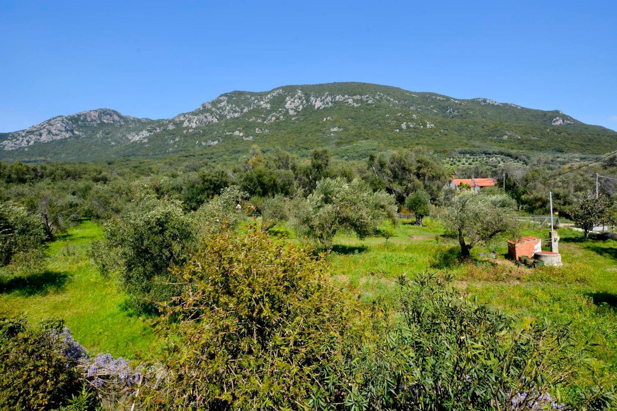 Giokos