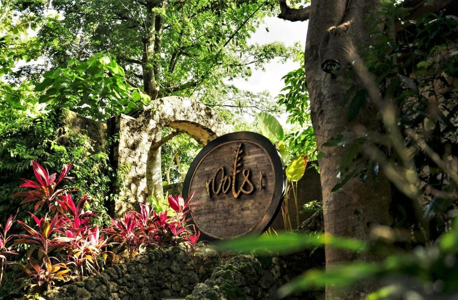 Roots Tree House view 5