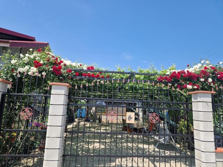 CASA ROTARU