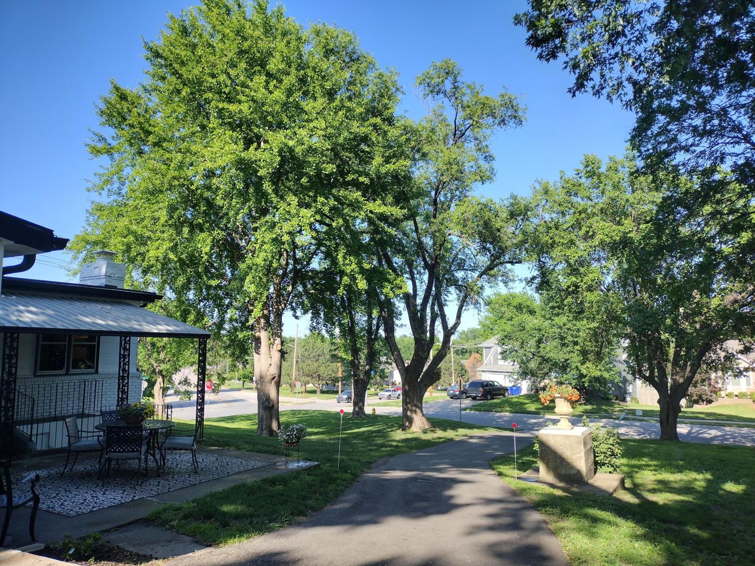 Photo 42