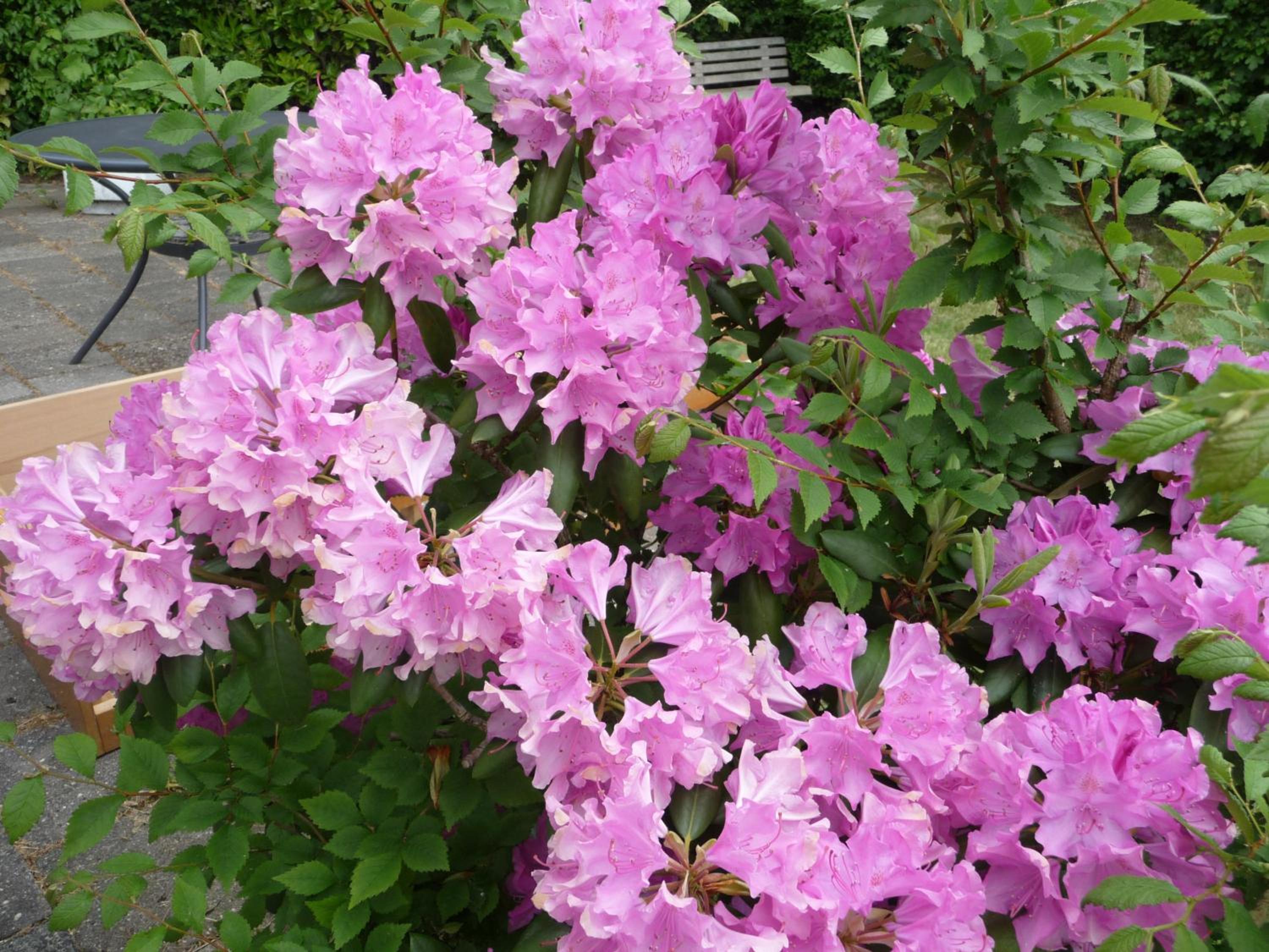 Photo 15