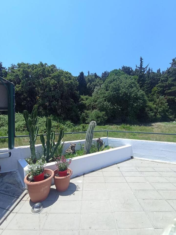 Sunny Garden Villa Koskinou