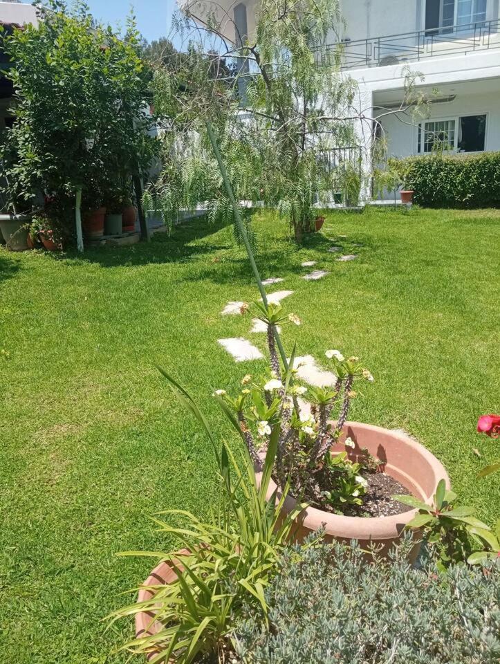 Sunny Garden Villa Koskinou