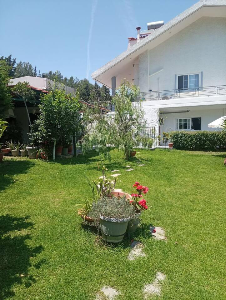 Sunny Garden Villa Koskinou