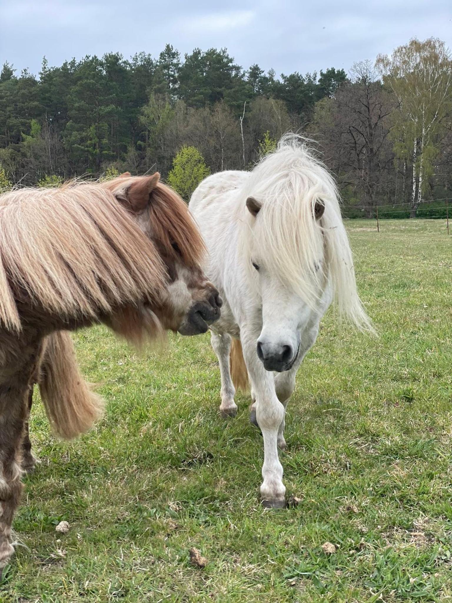 Urlaub auf dem Land