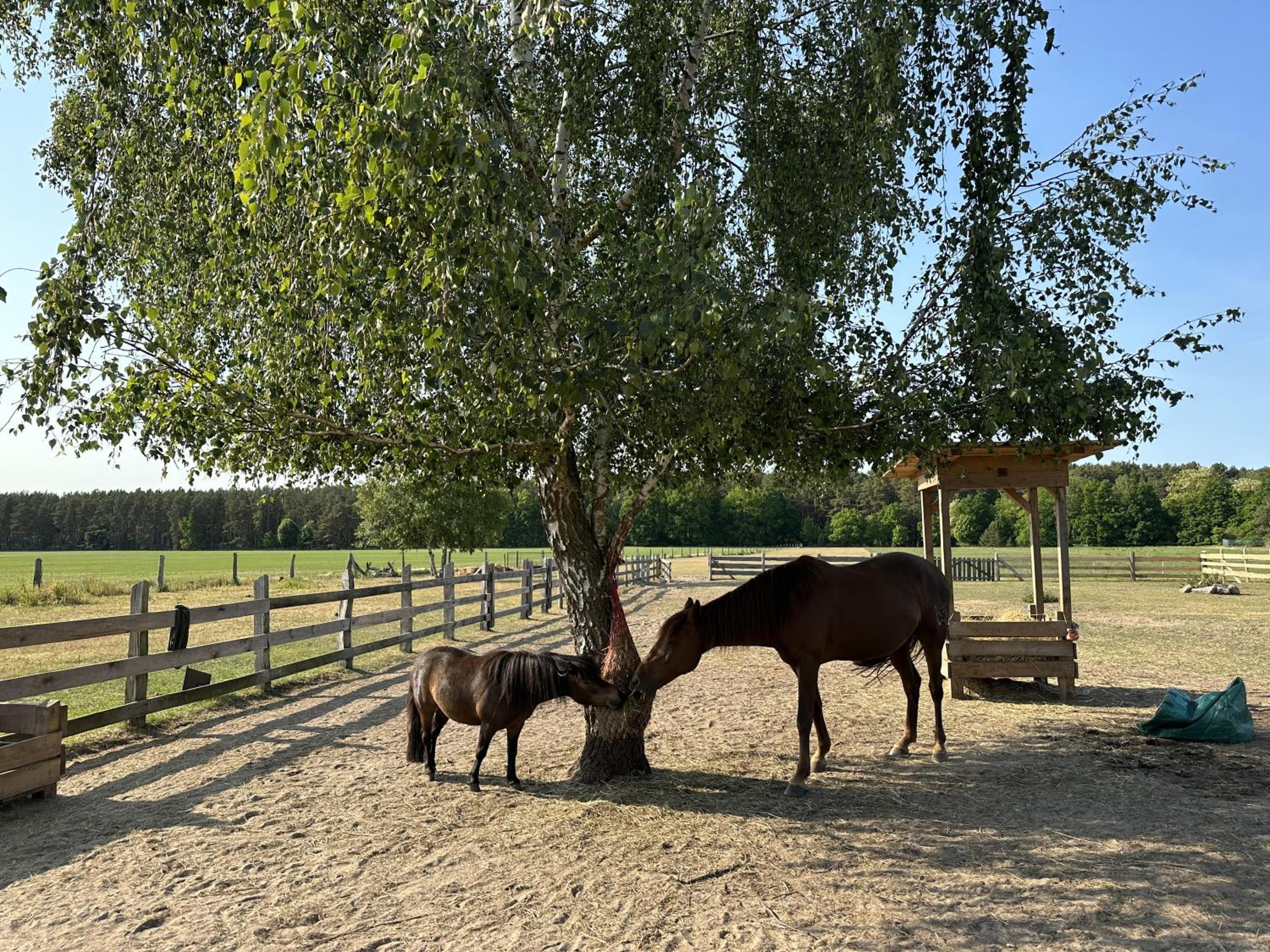 Urlaub auf dem Land