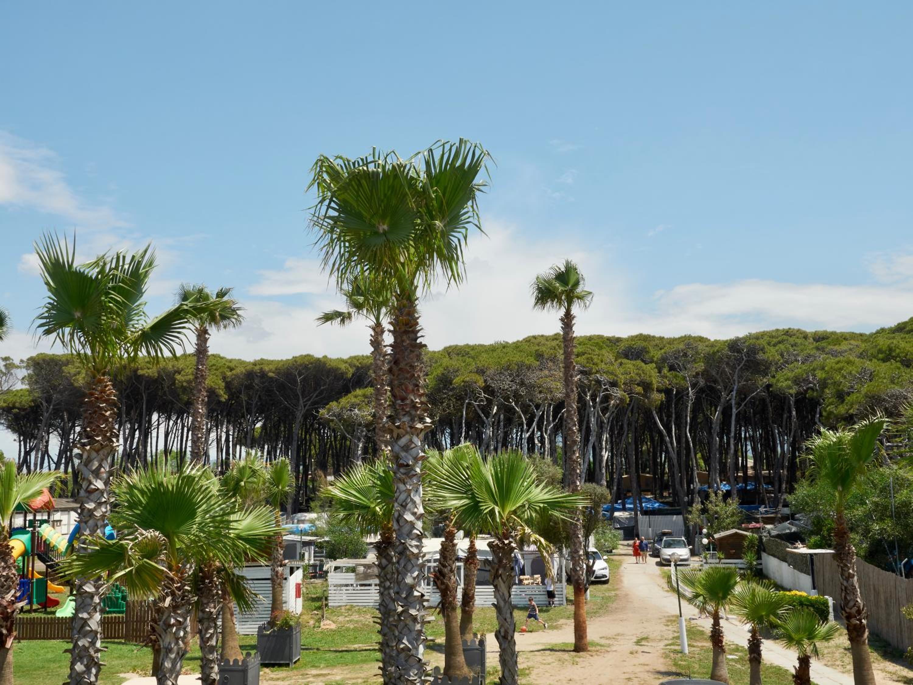Camping Village Mare Pineta