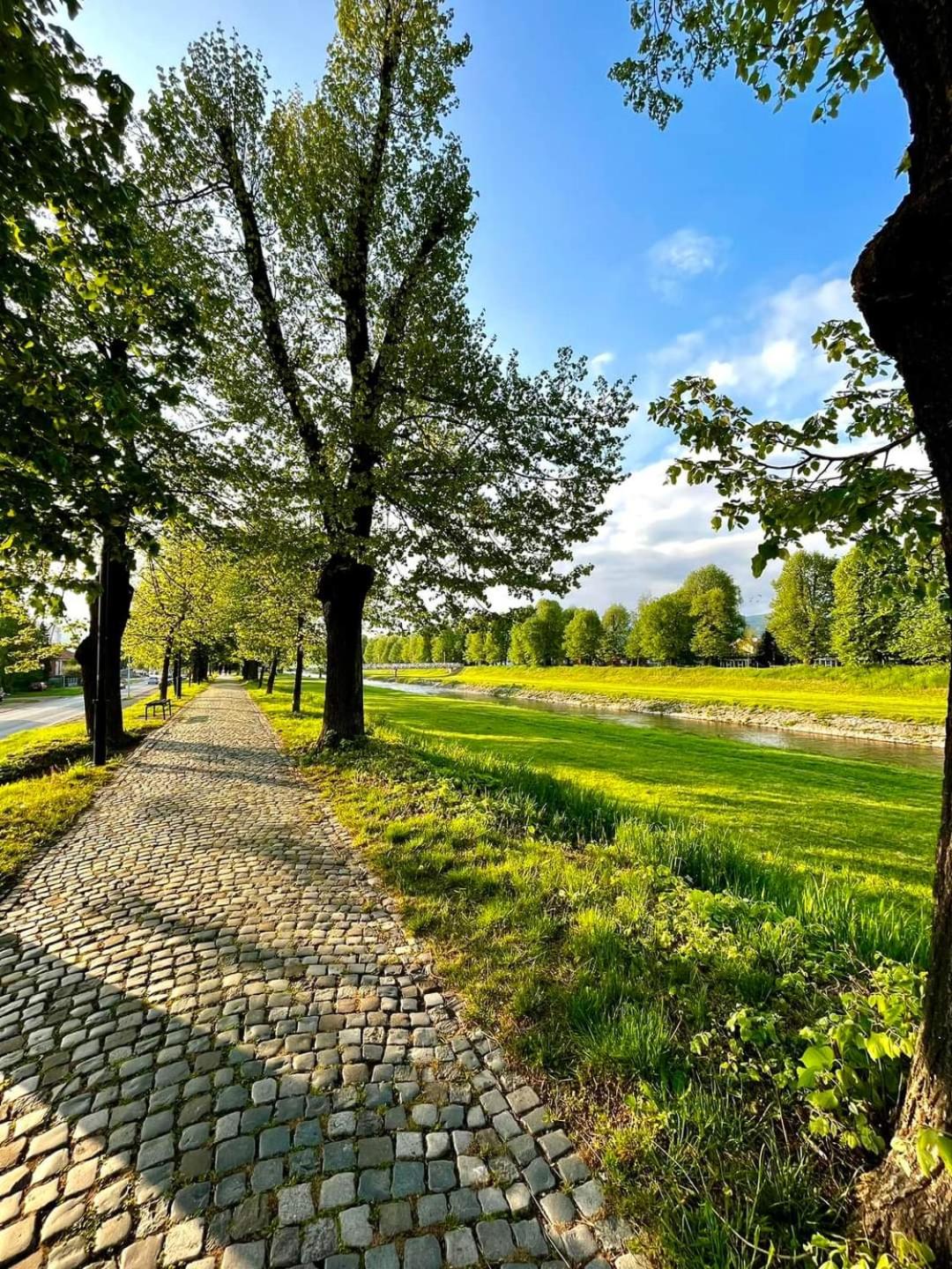 Apartman Kutak