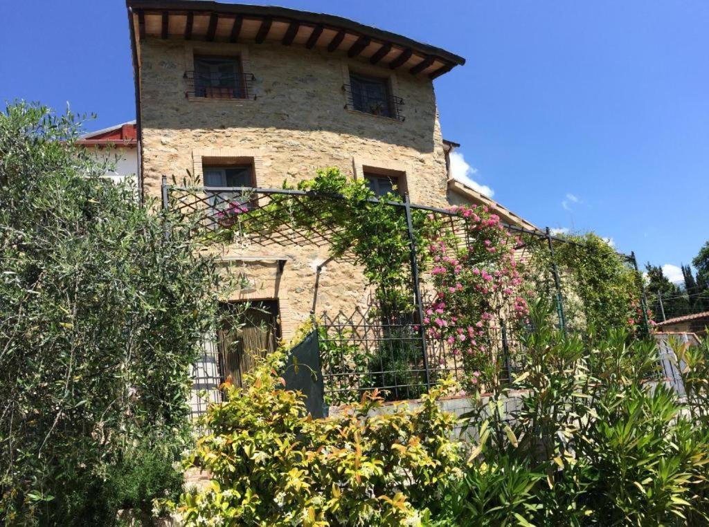 La casina delle rondini photo 5