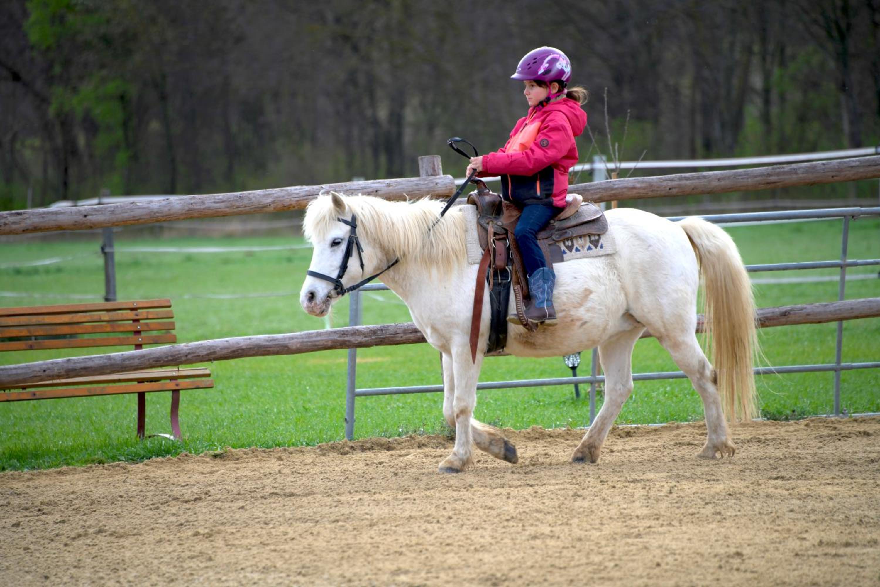Family Ranch Urlaub am Pferdehof
