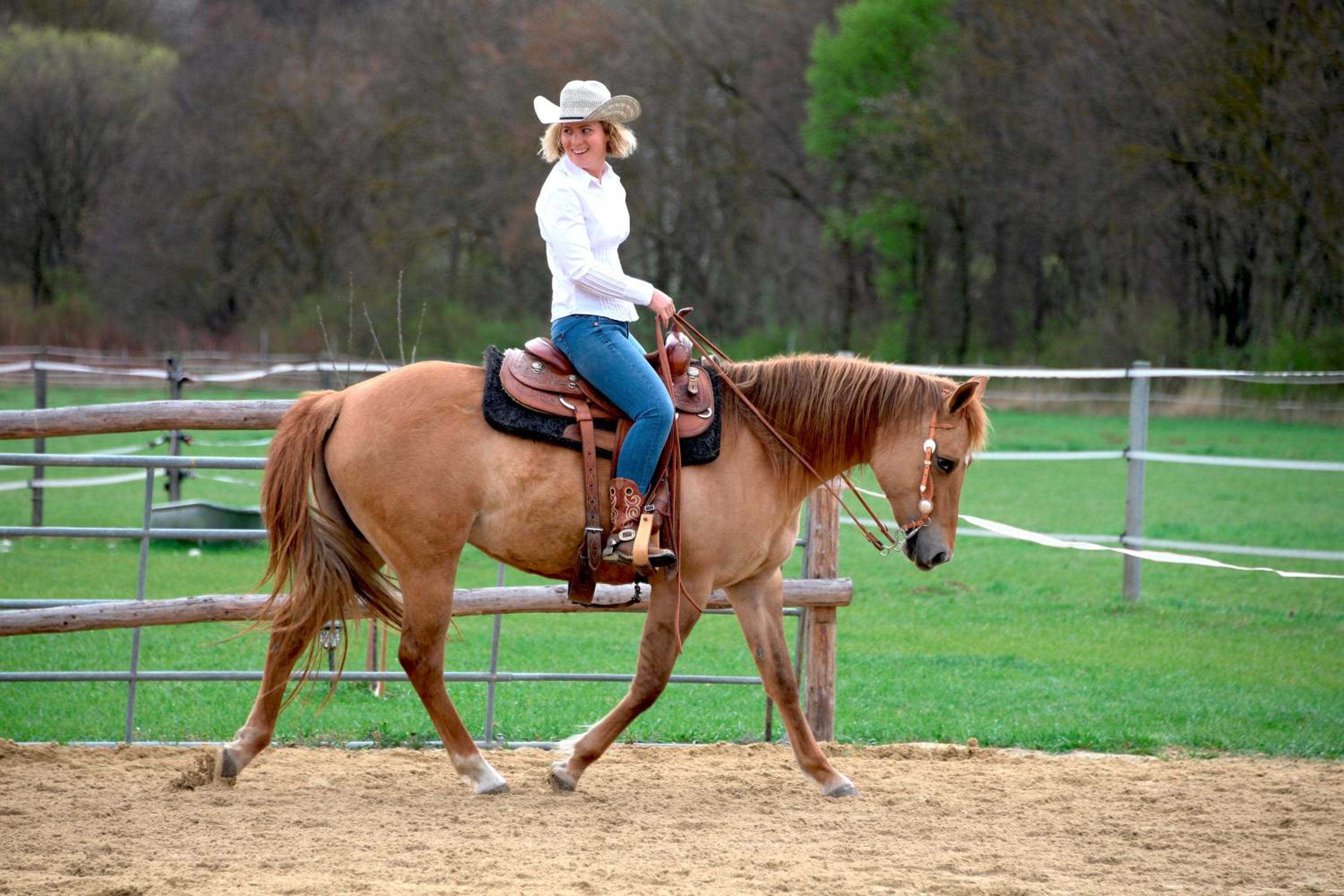 Family Ranch Urlaub am Pferdehof