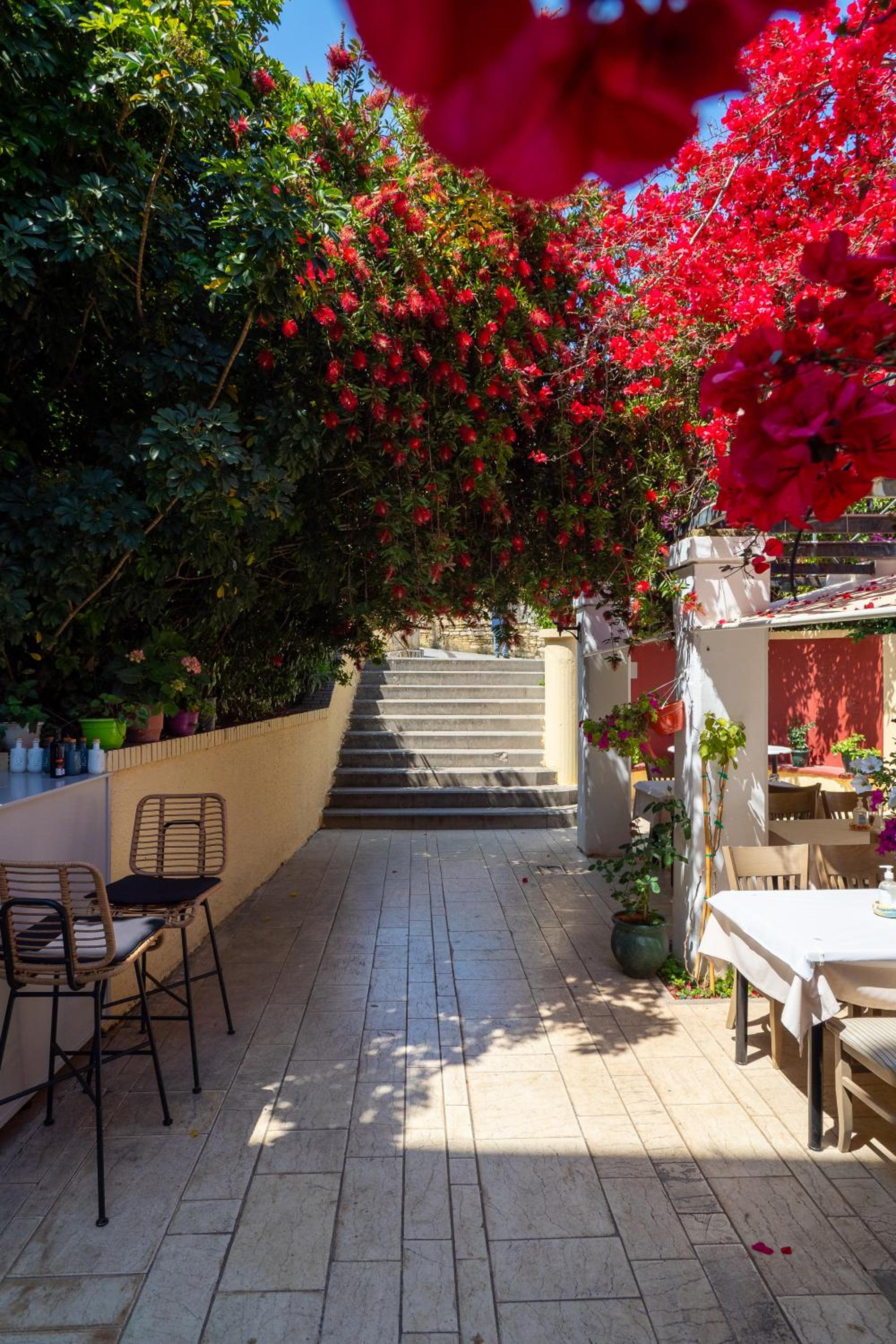 Nymfes Corfu Apartments