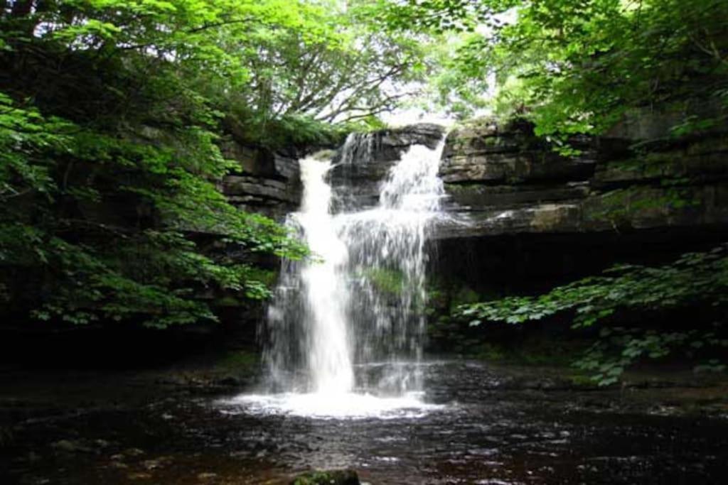 Photo 17